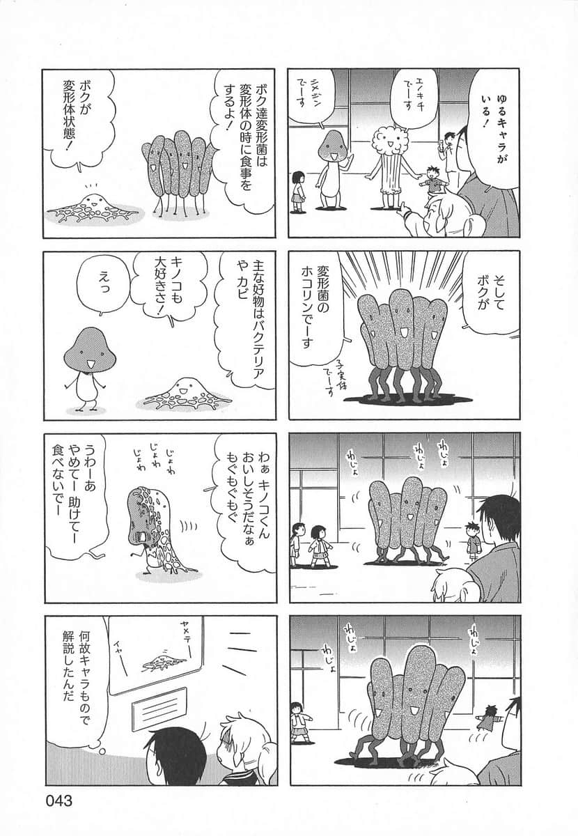 Page 43