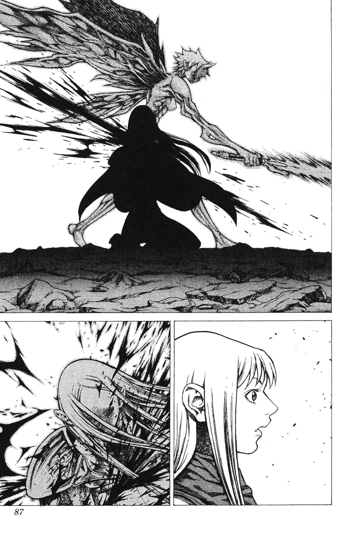 Page 87