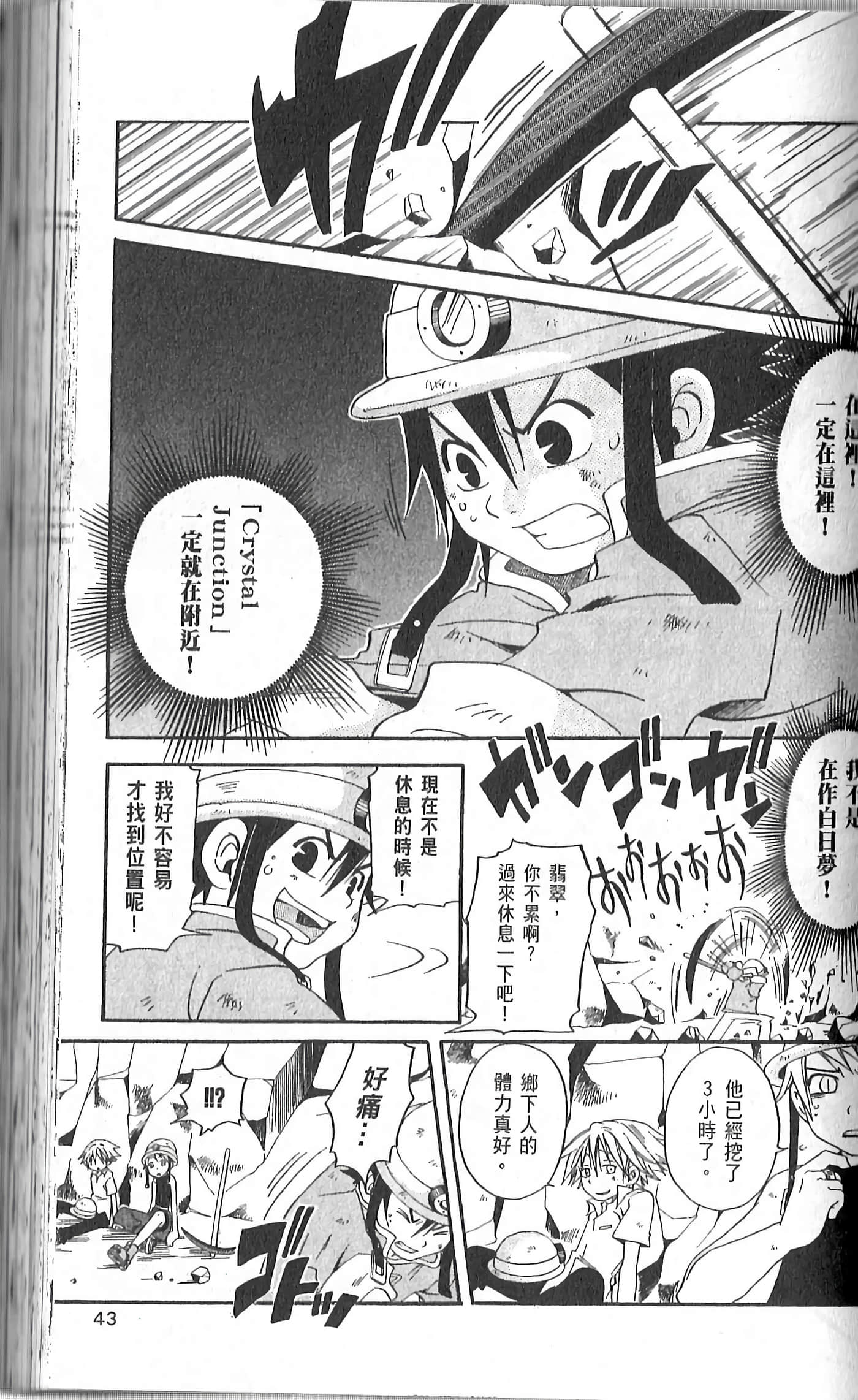 Page 43
