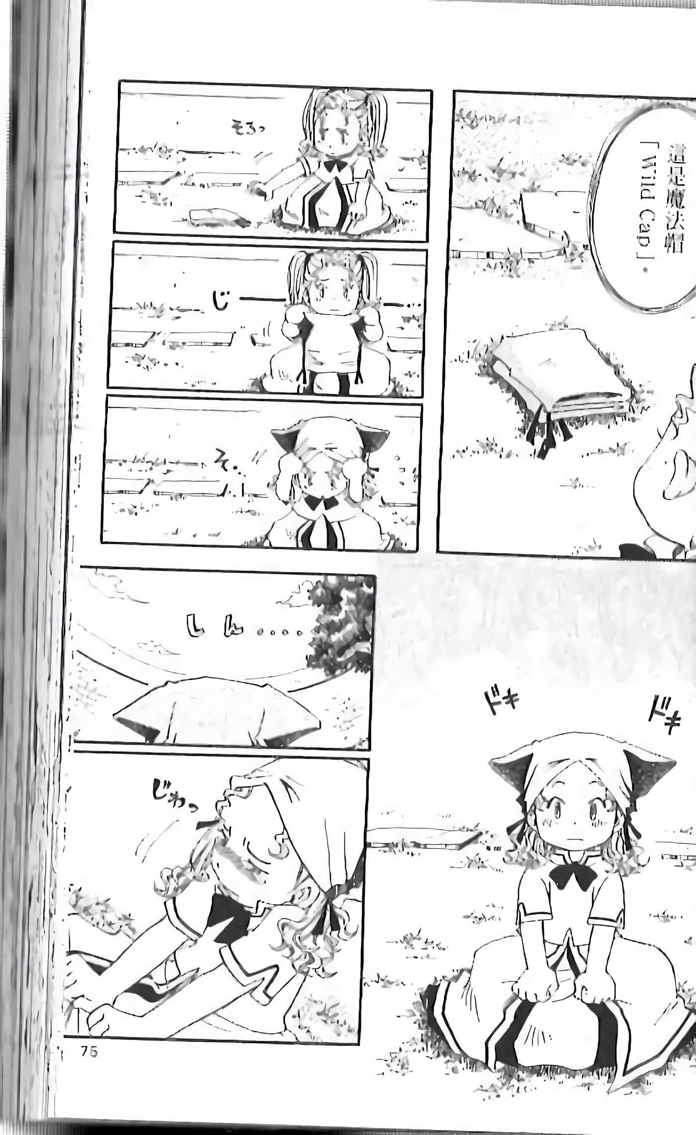 Page 73