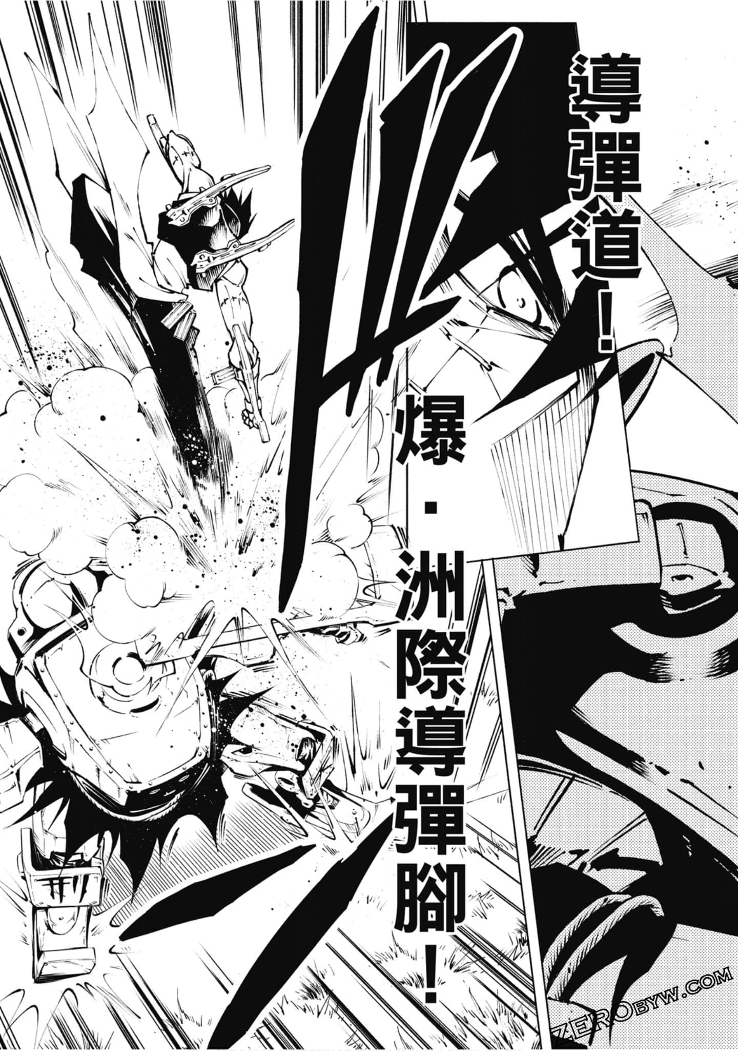 Page 113