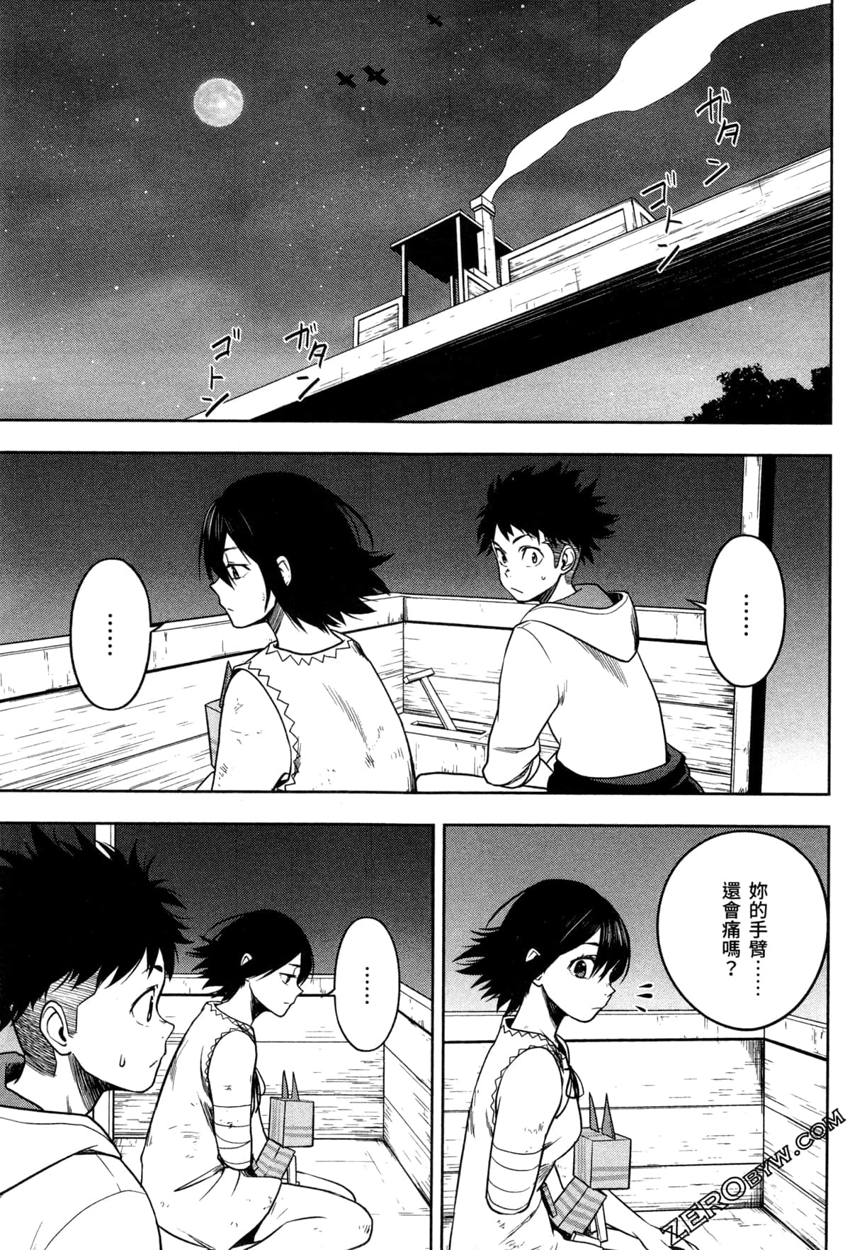 Page 101