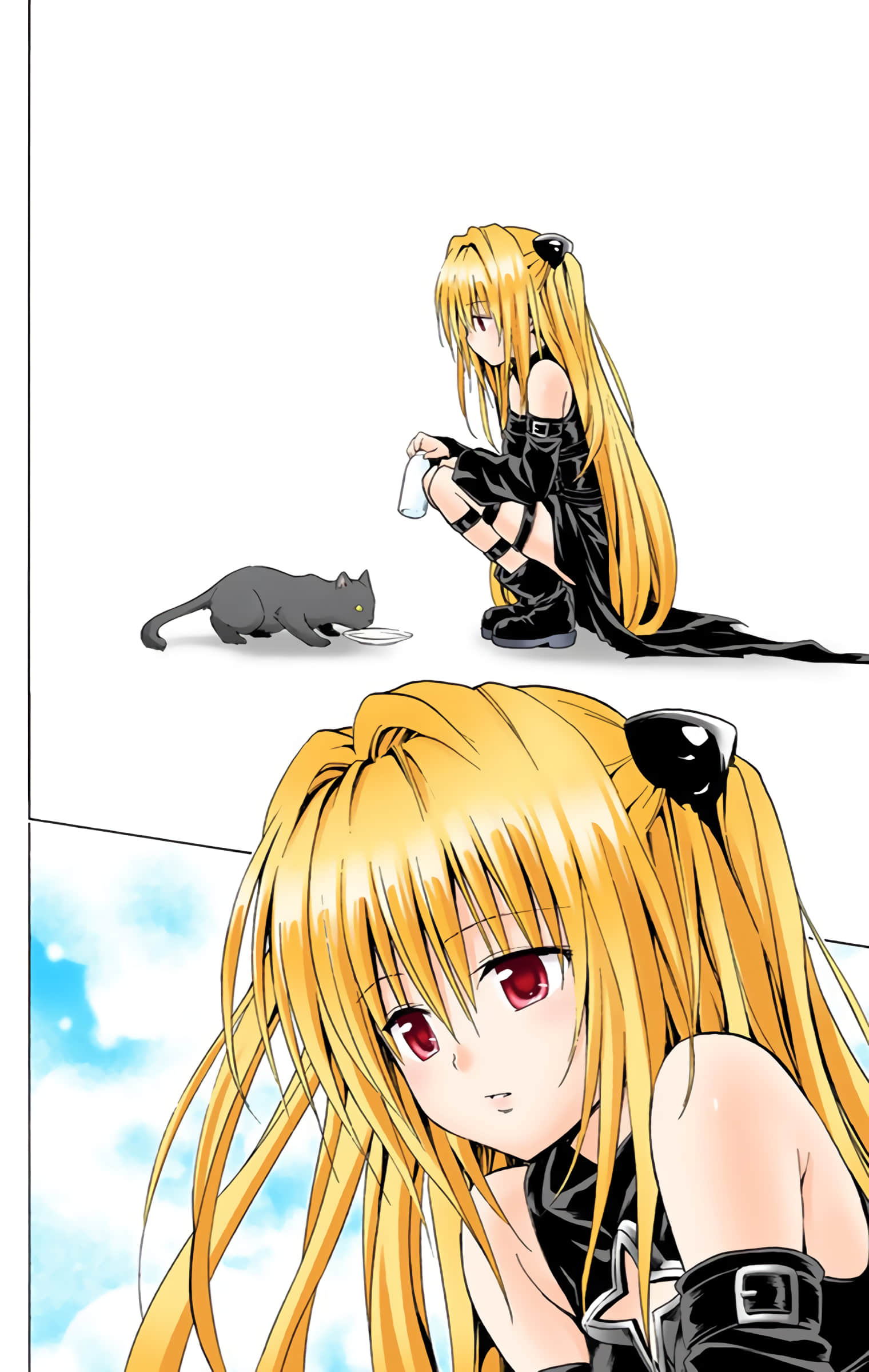 第 23 页