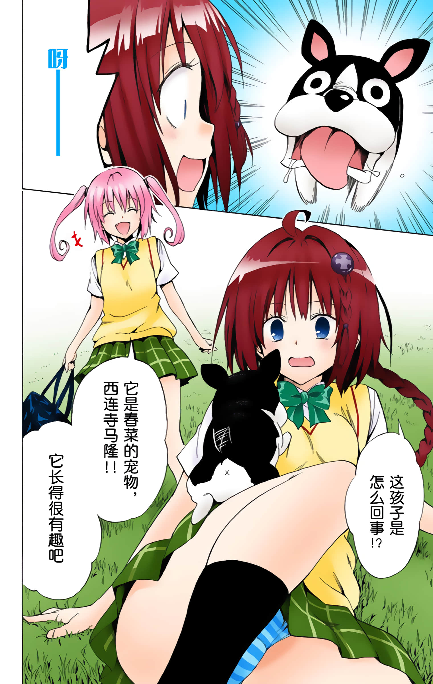 第 113 页