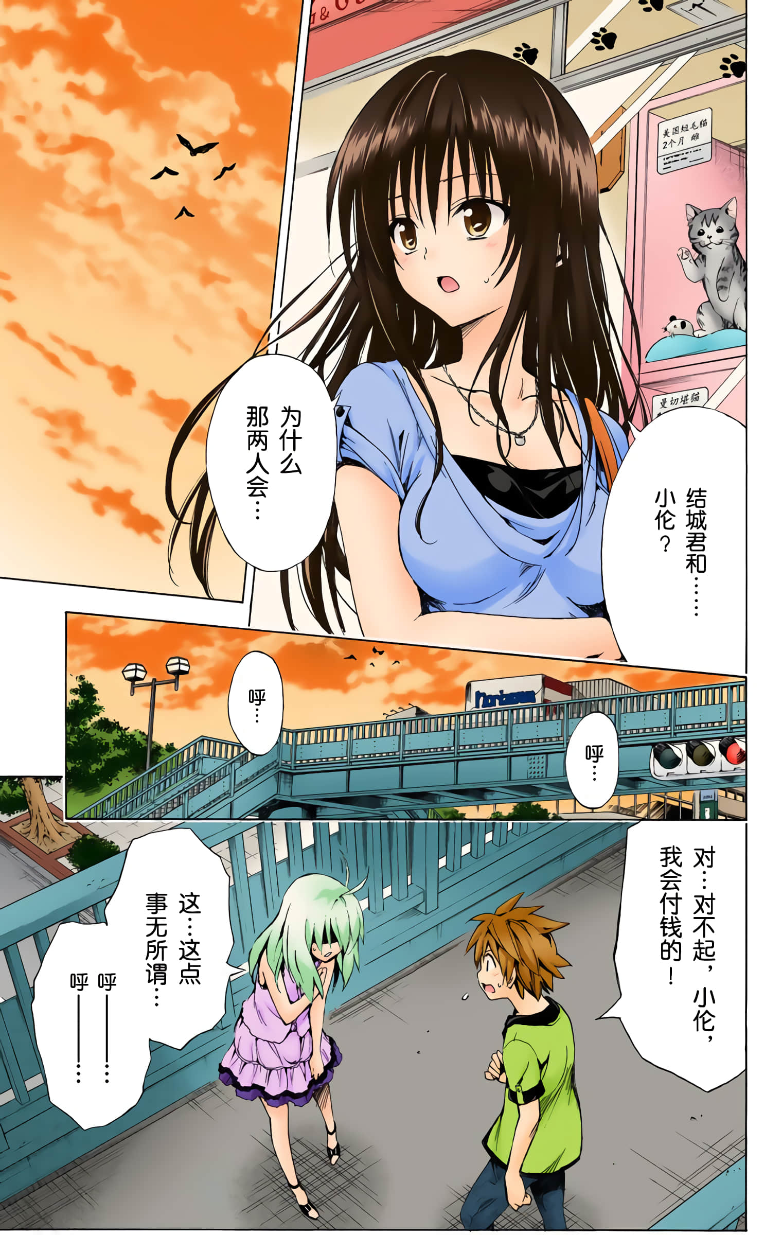 第 28 页