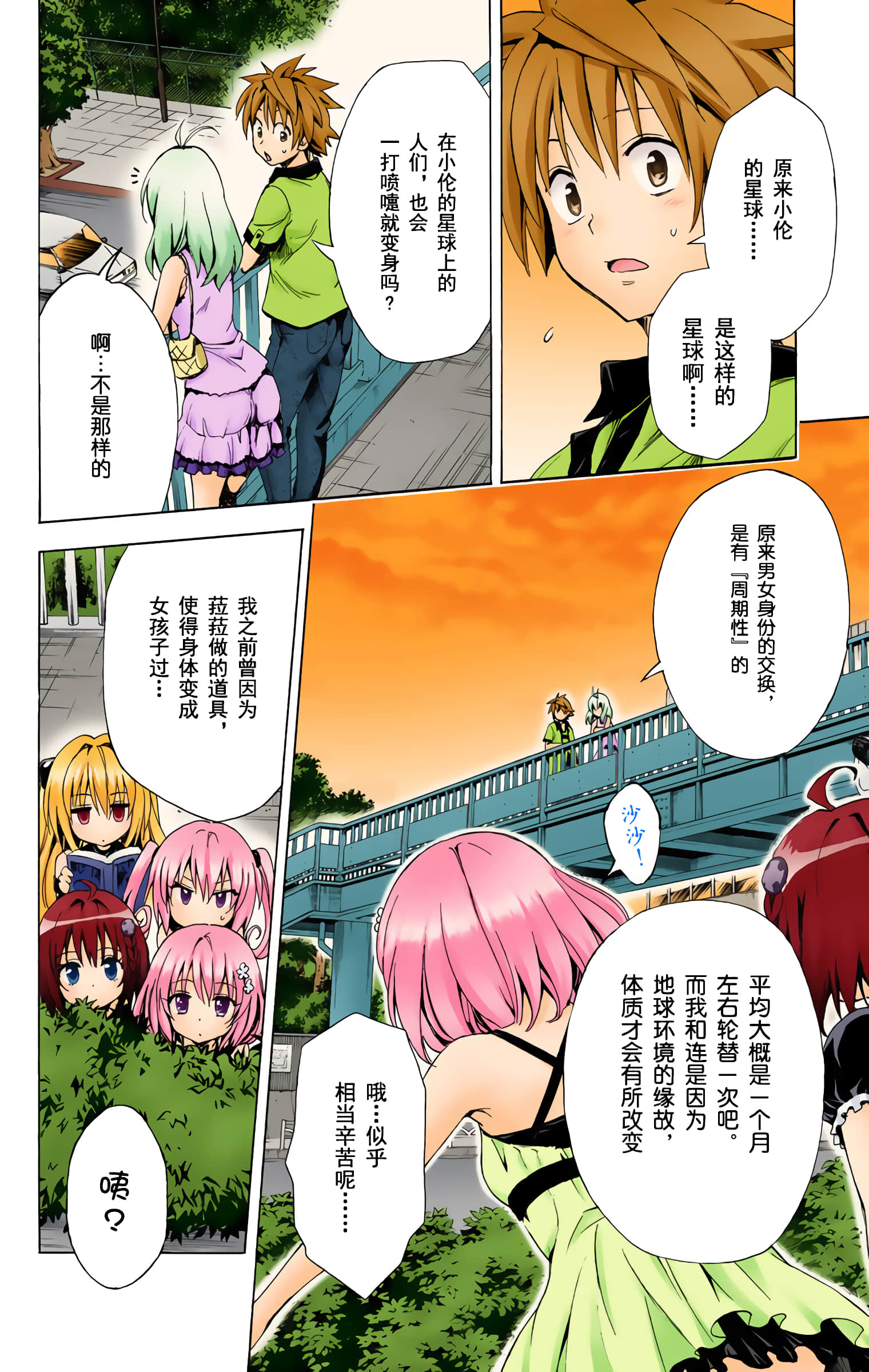 第 31 页