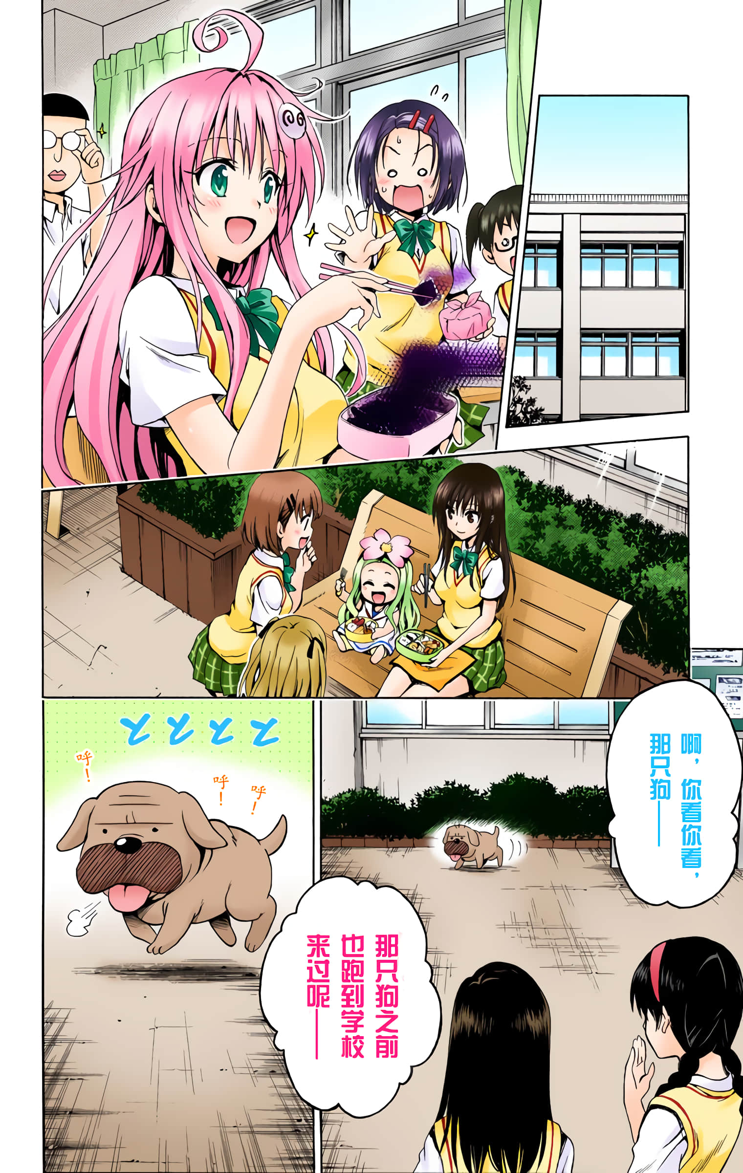 第 113 页