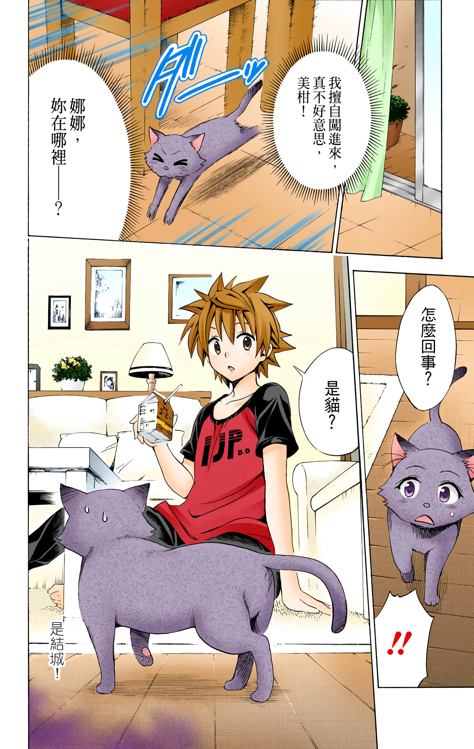 第 171 页