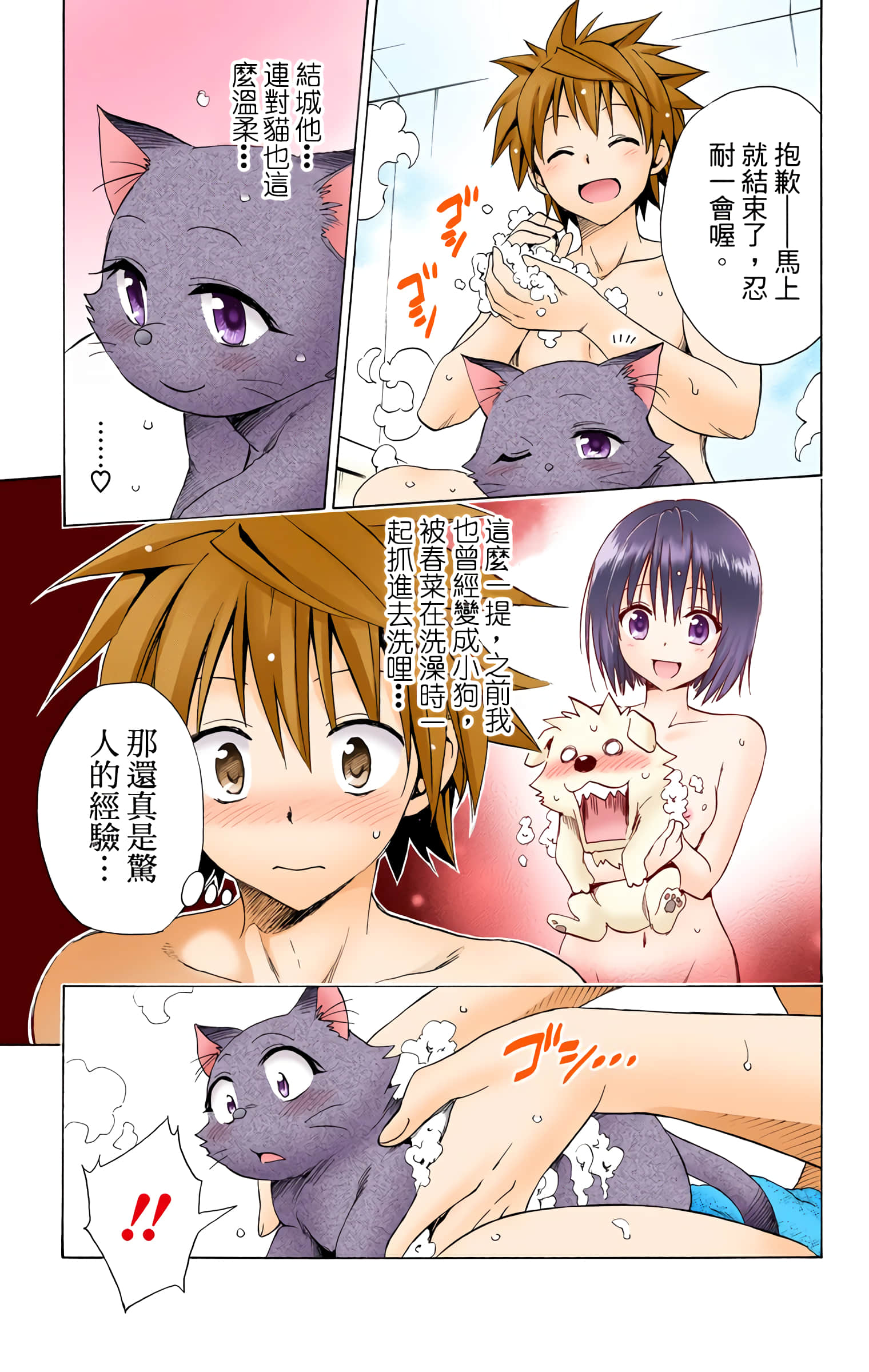 第 176 页