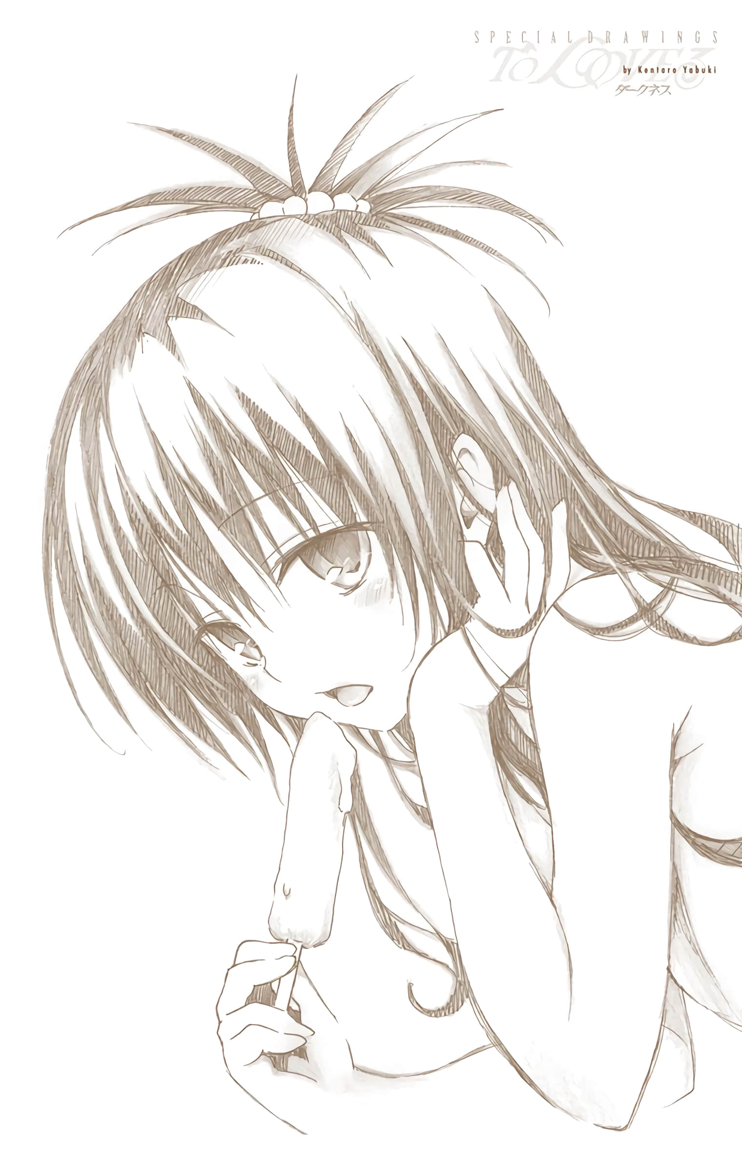 第 203 页