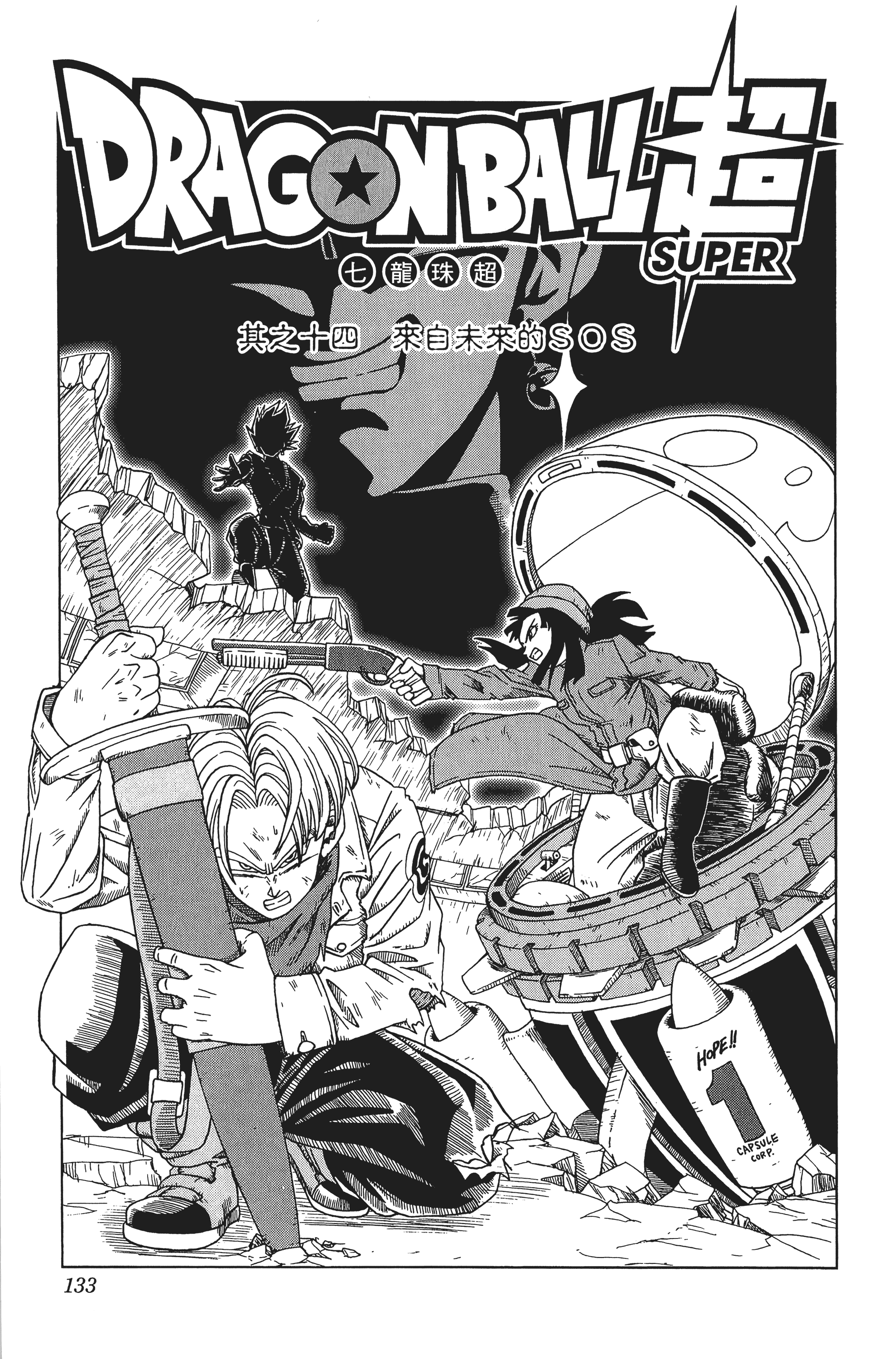 Page 133