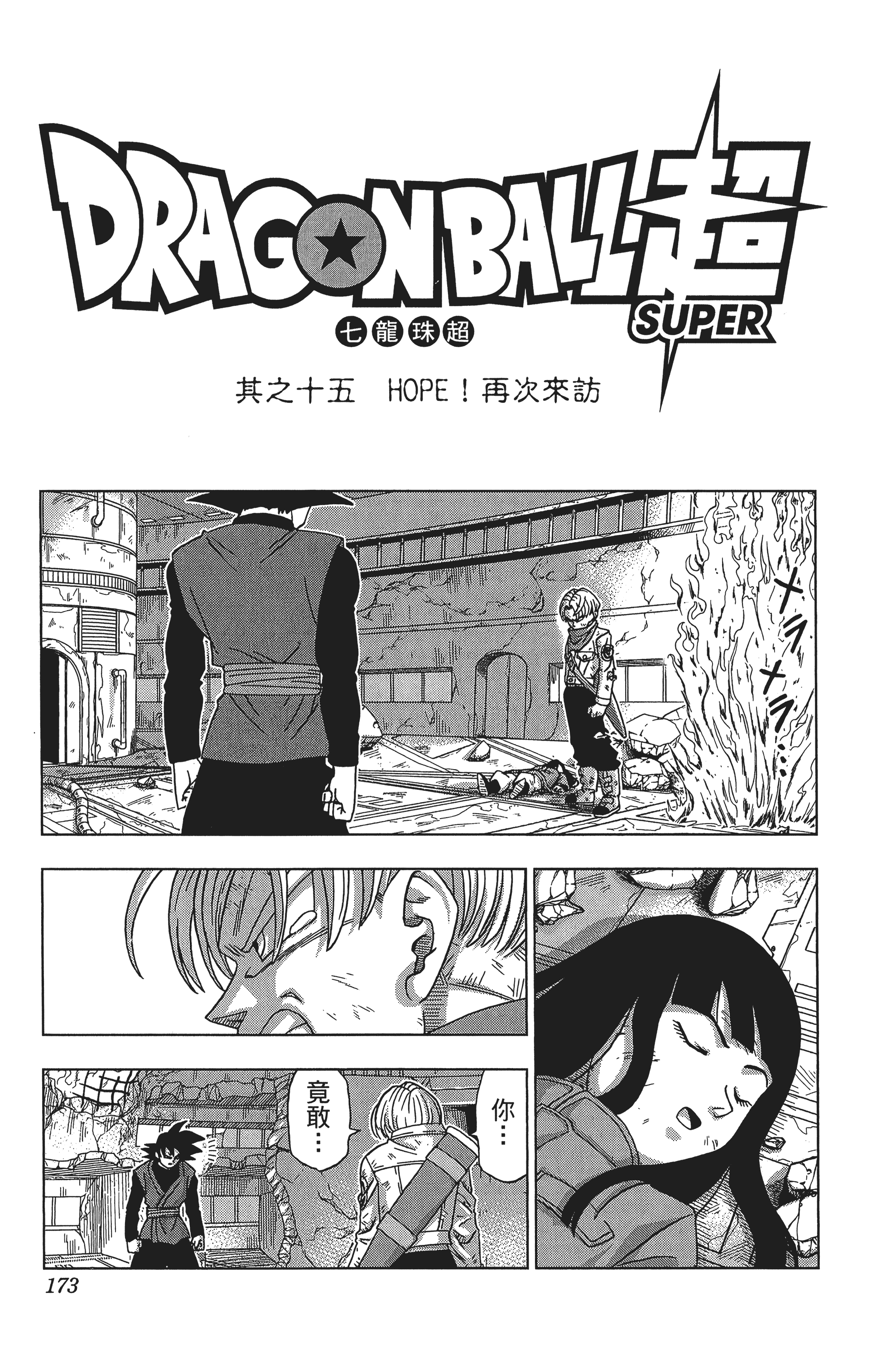 Page 173
