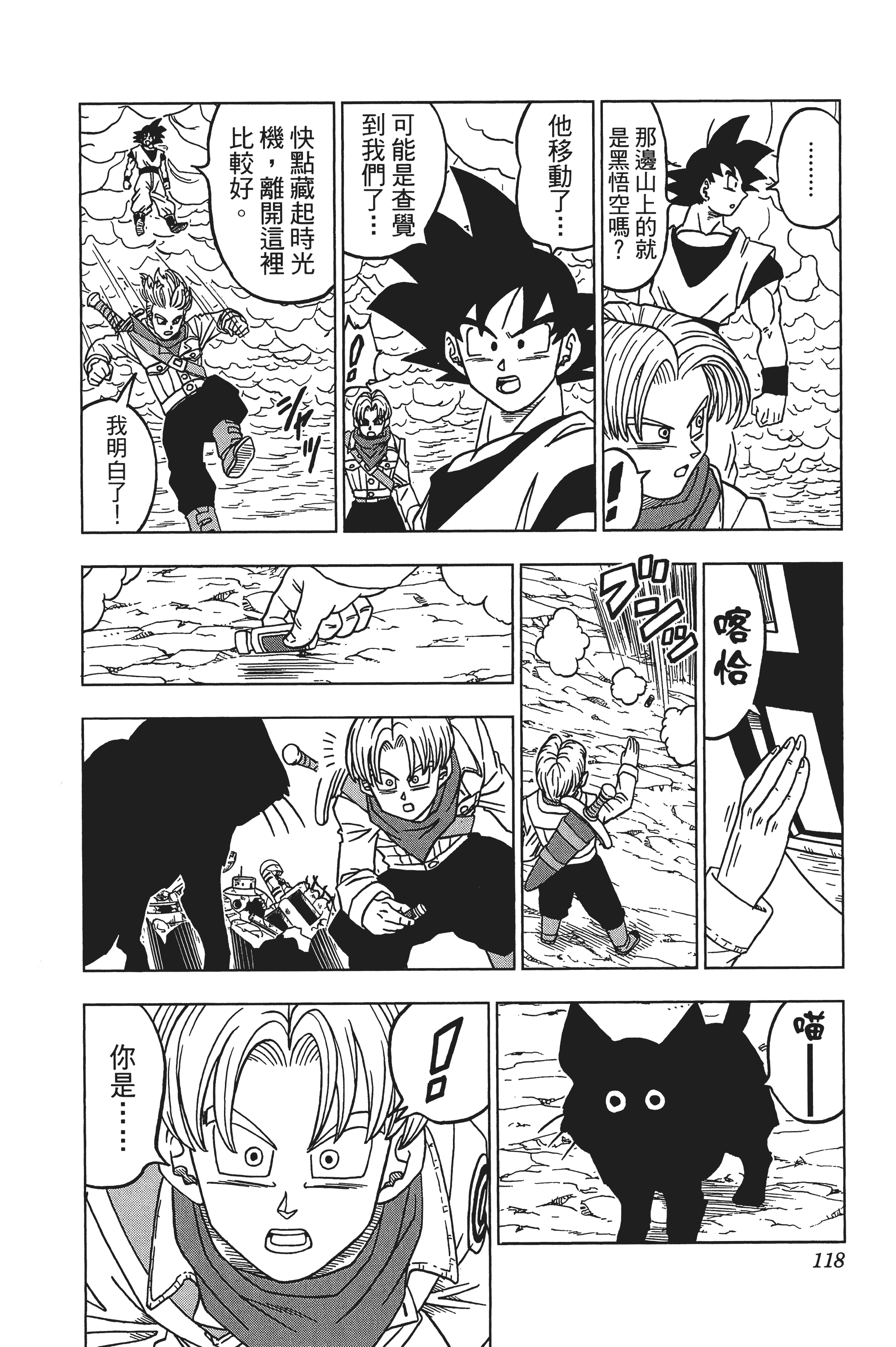 Page 119