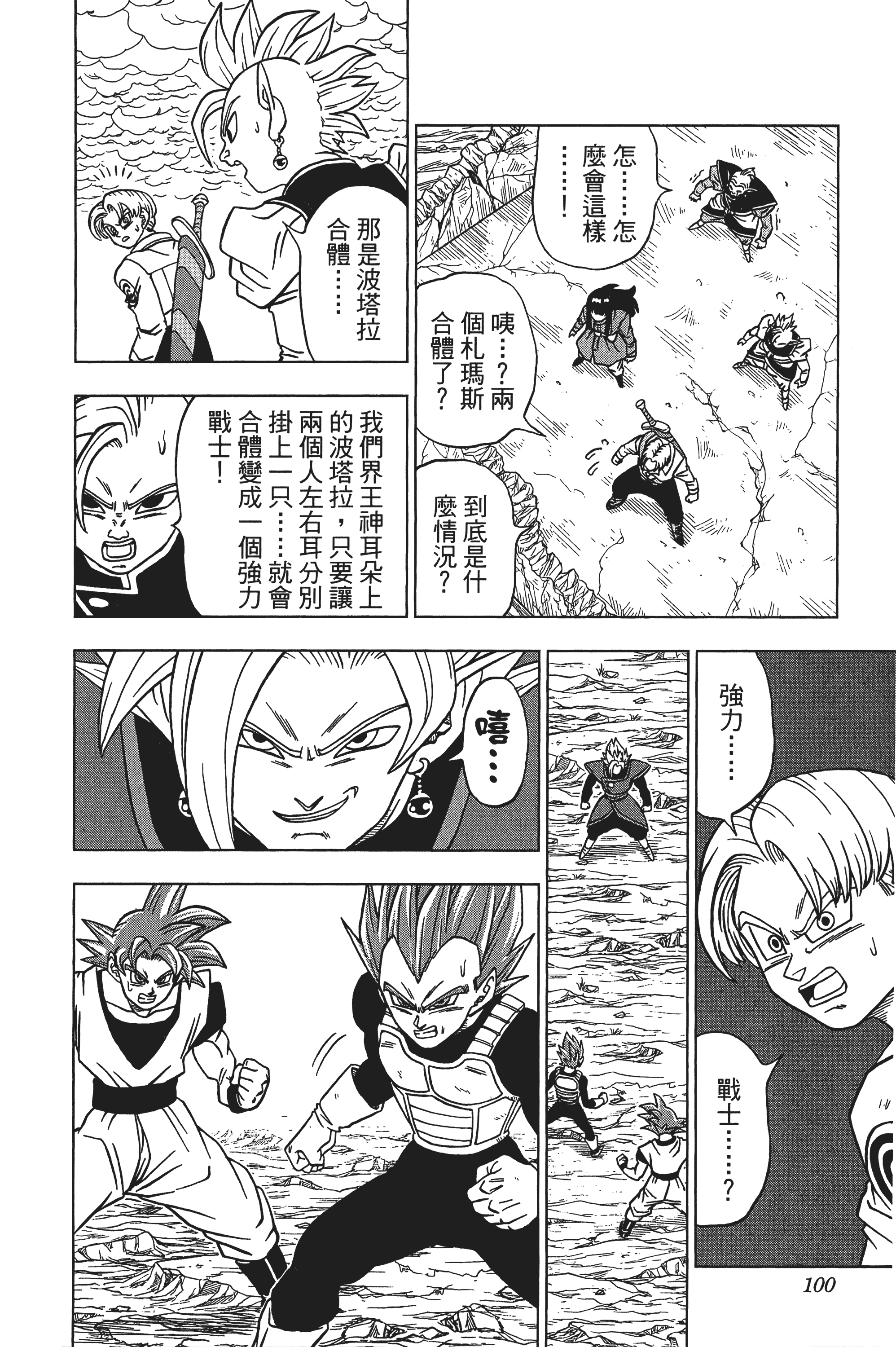 Page 101