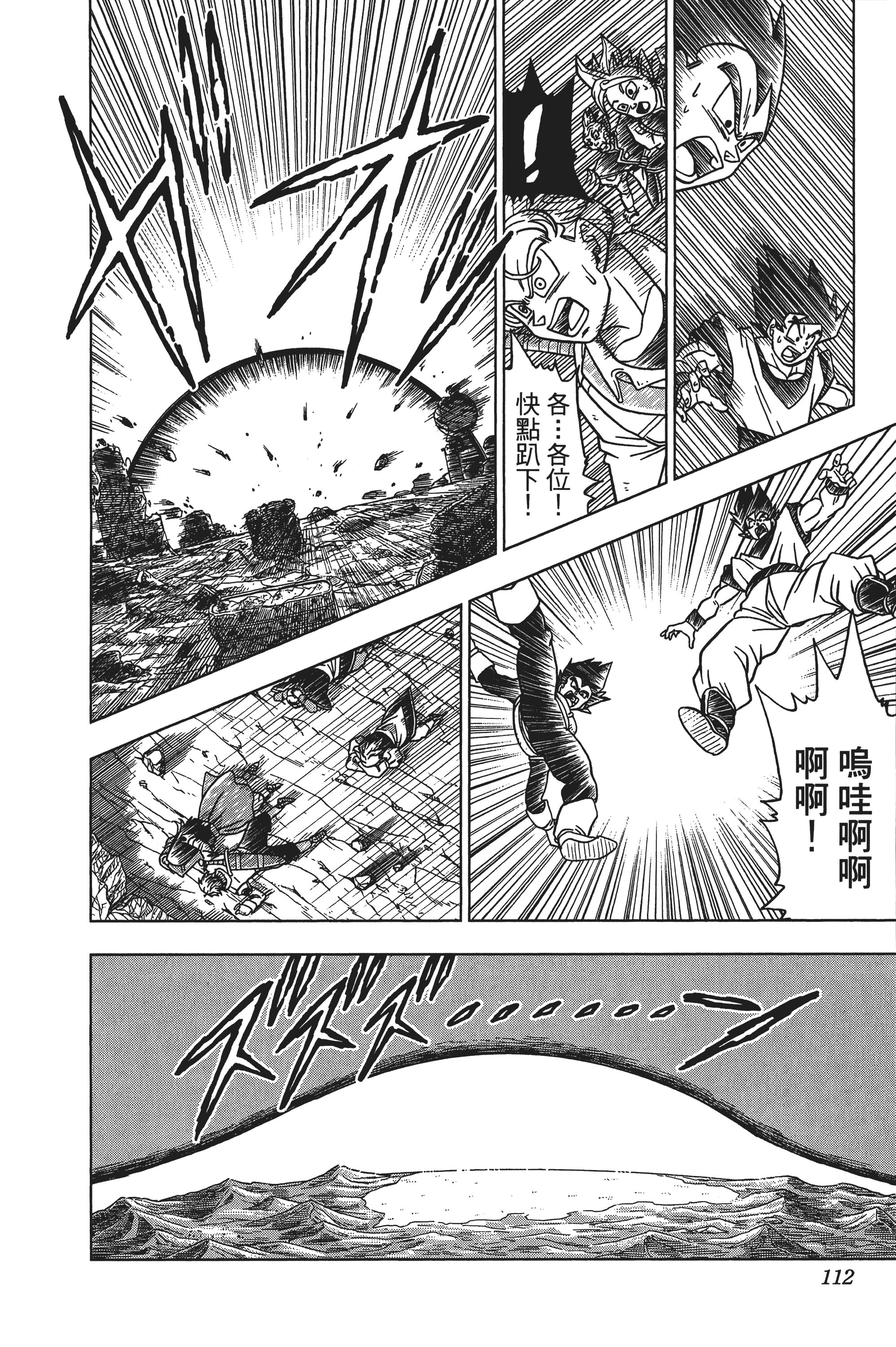Page 113