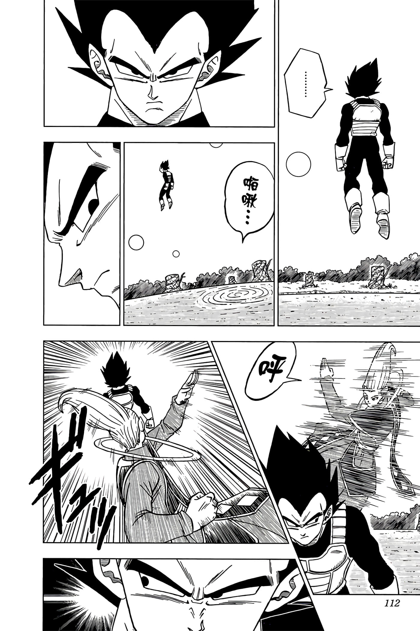 Page 111
