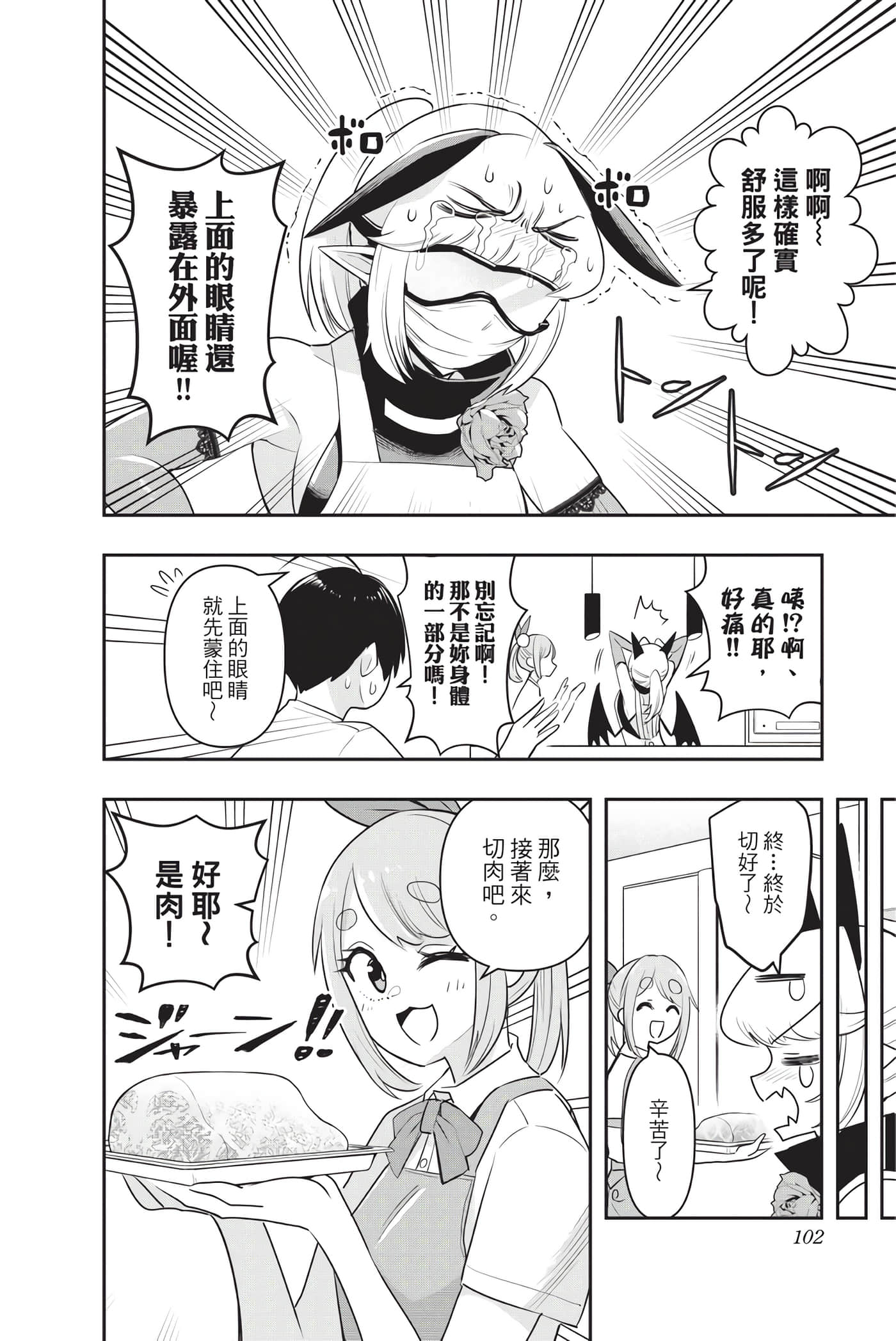 第 101 页