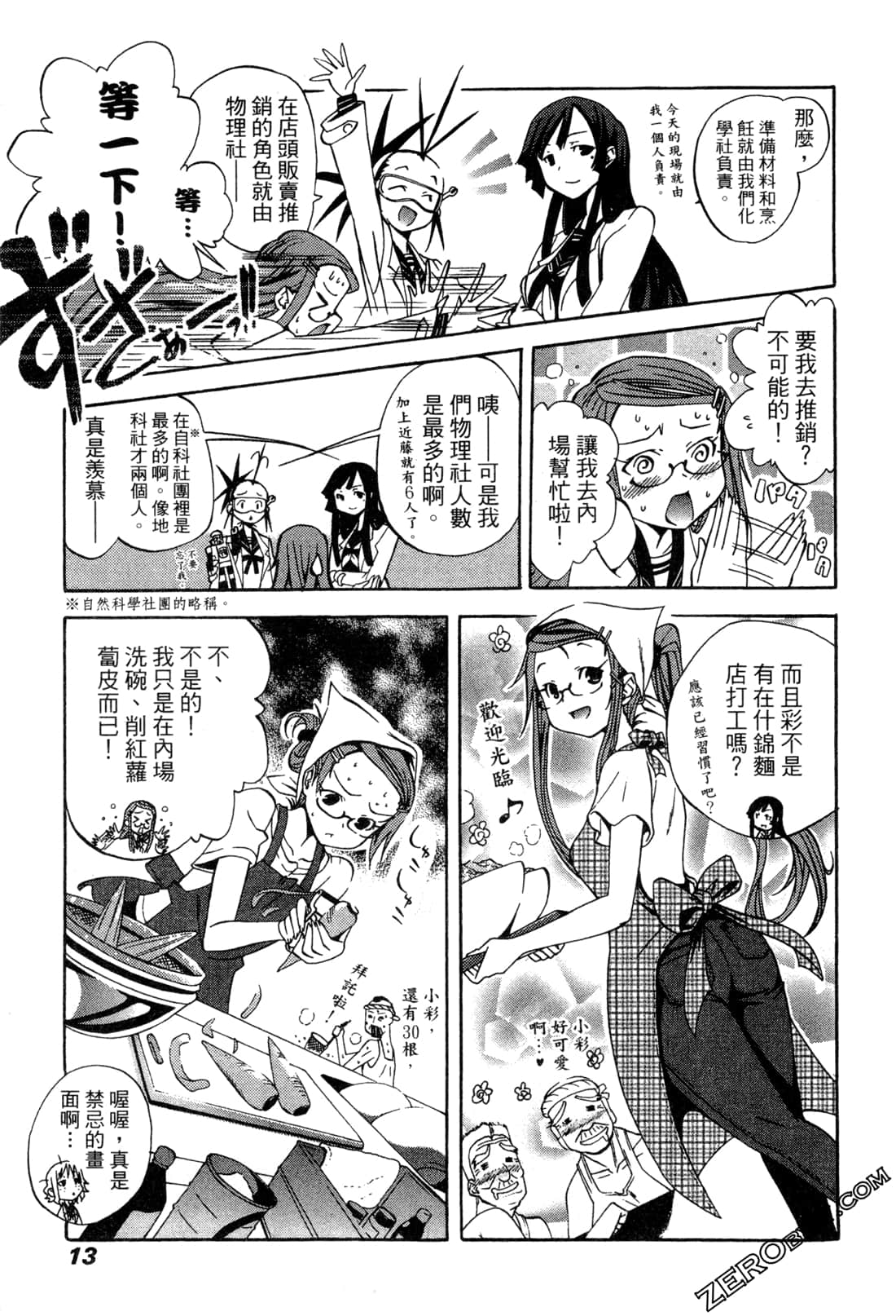 Page 13