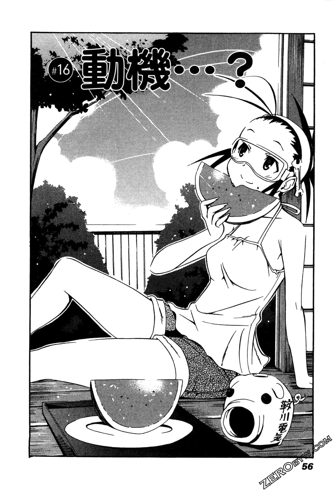 Page 55