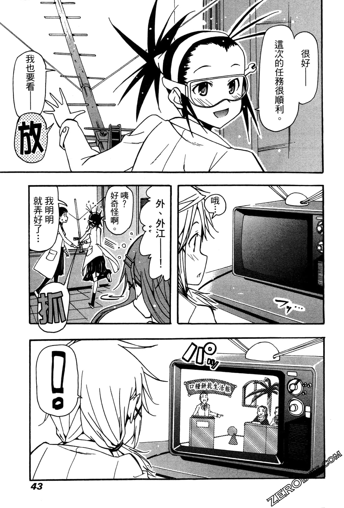 Page 43