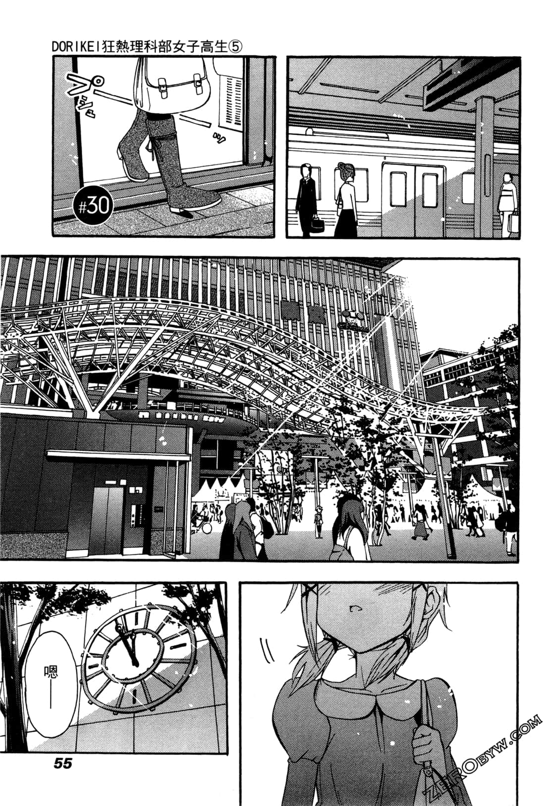 Page 55