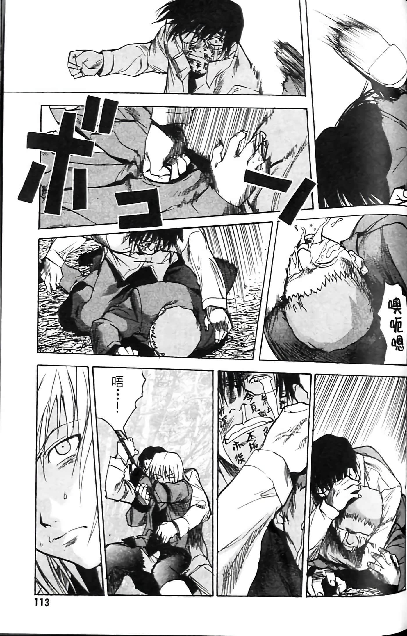 Page 113