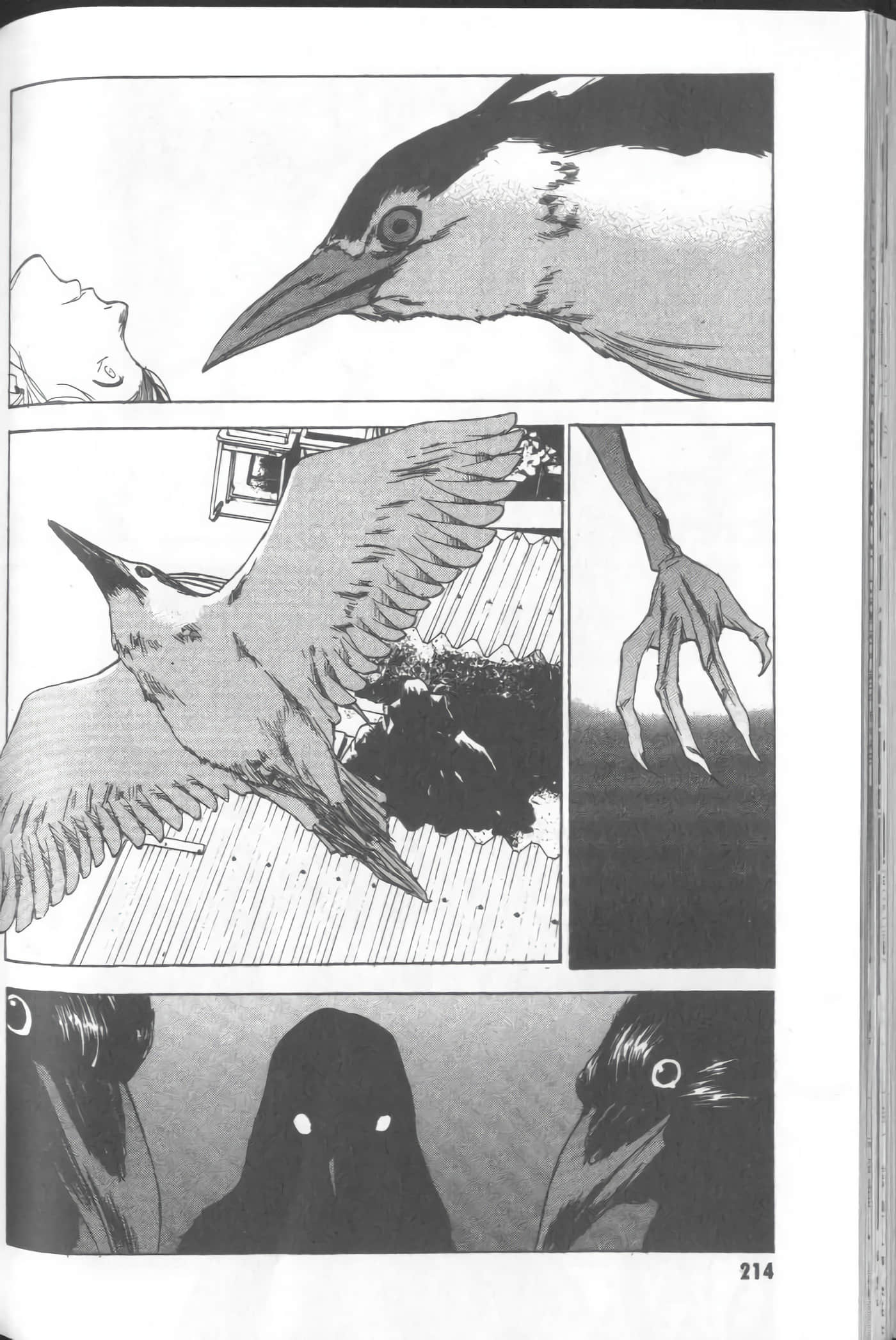 Page 216