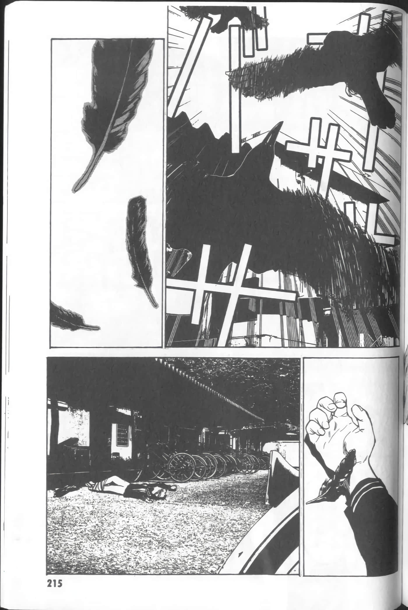 Page 217