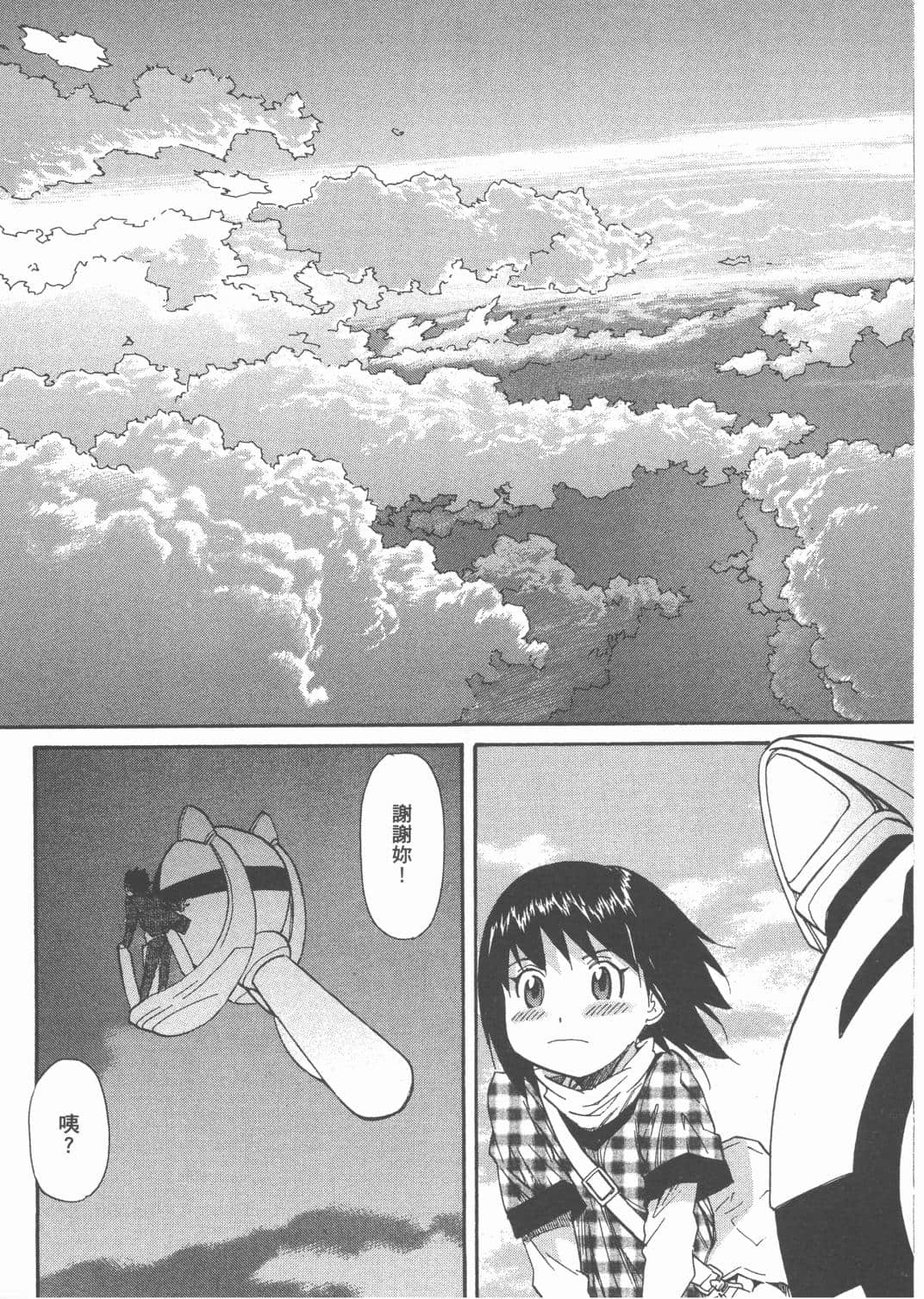 Page 111