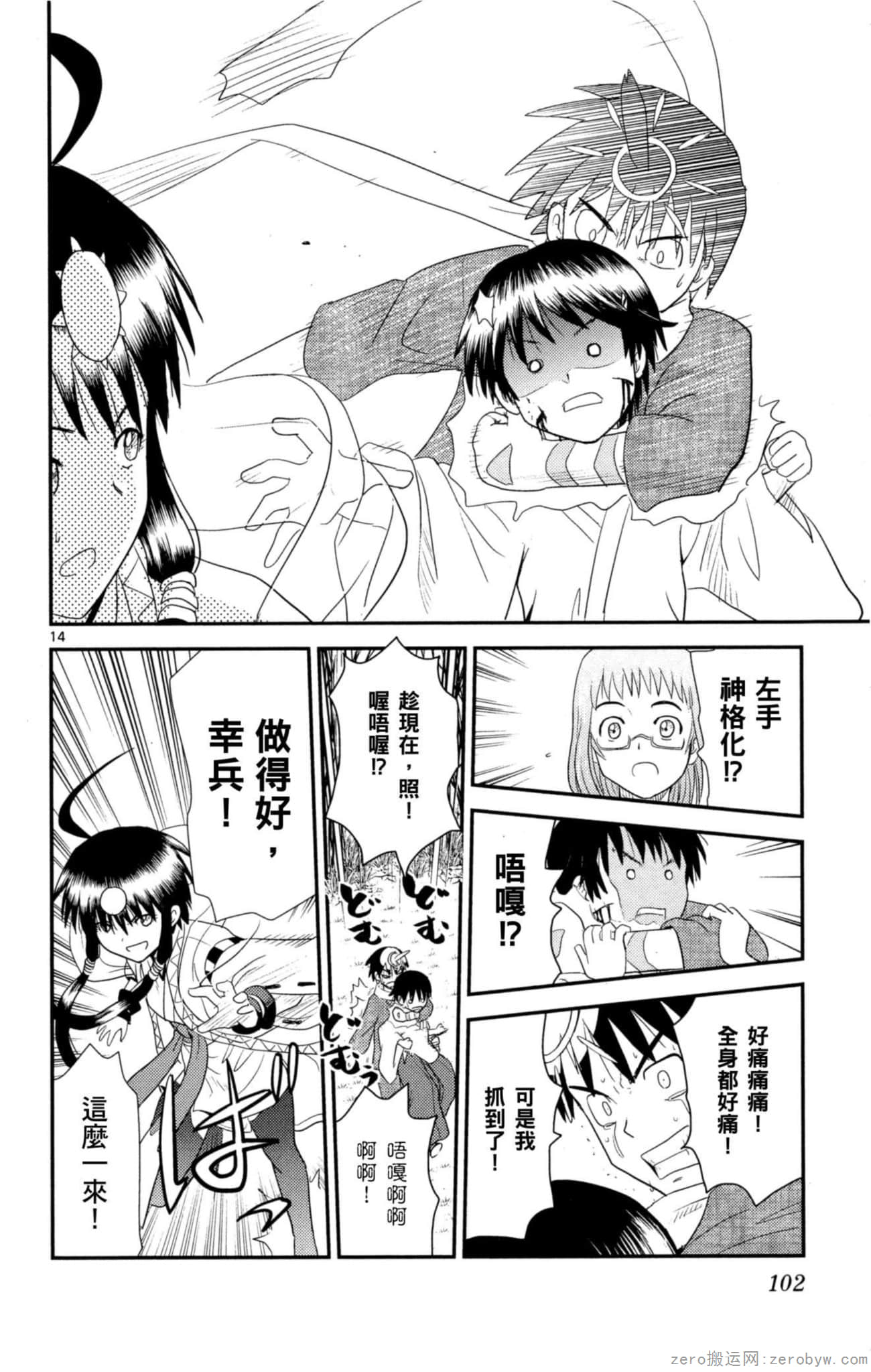 Page 101