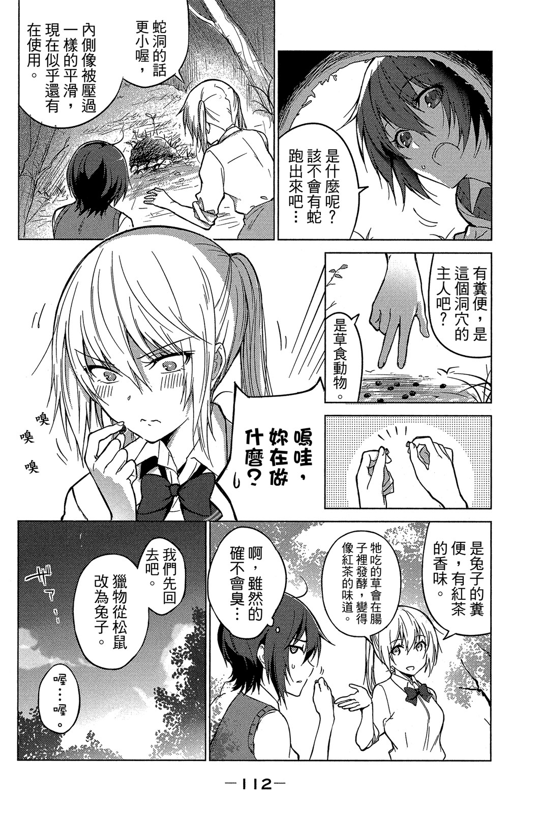 Page 111