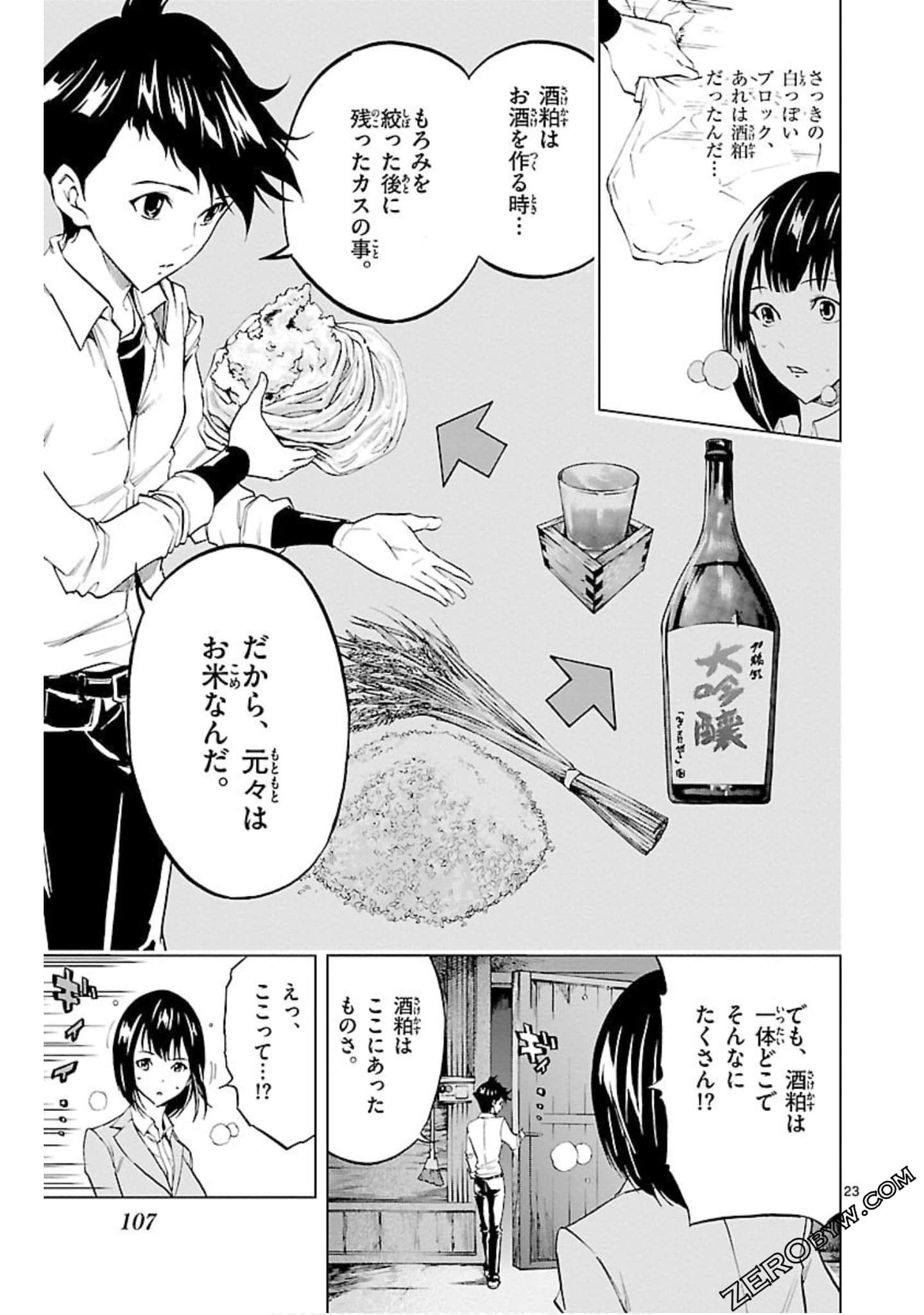 Page 106