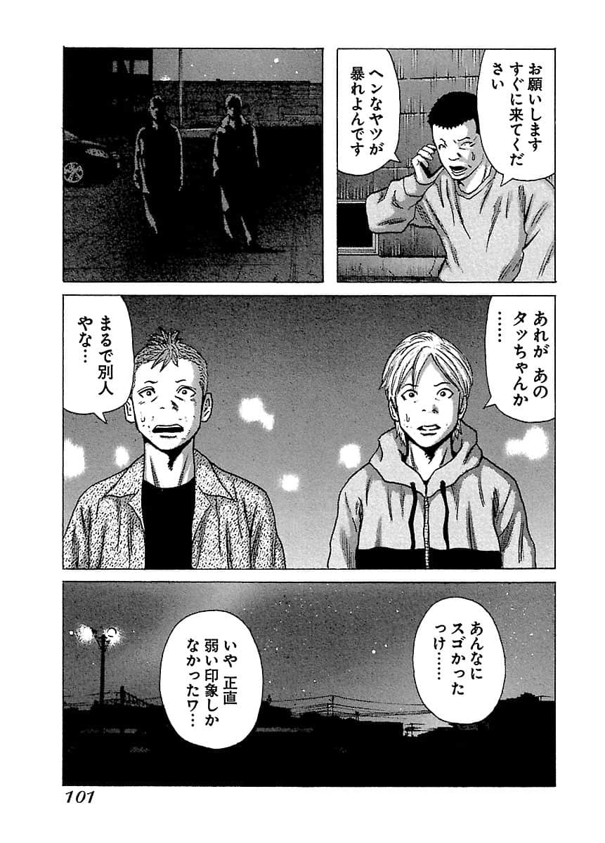 Page 101