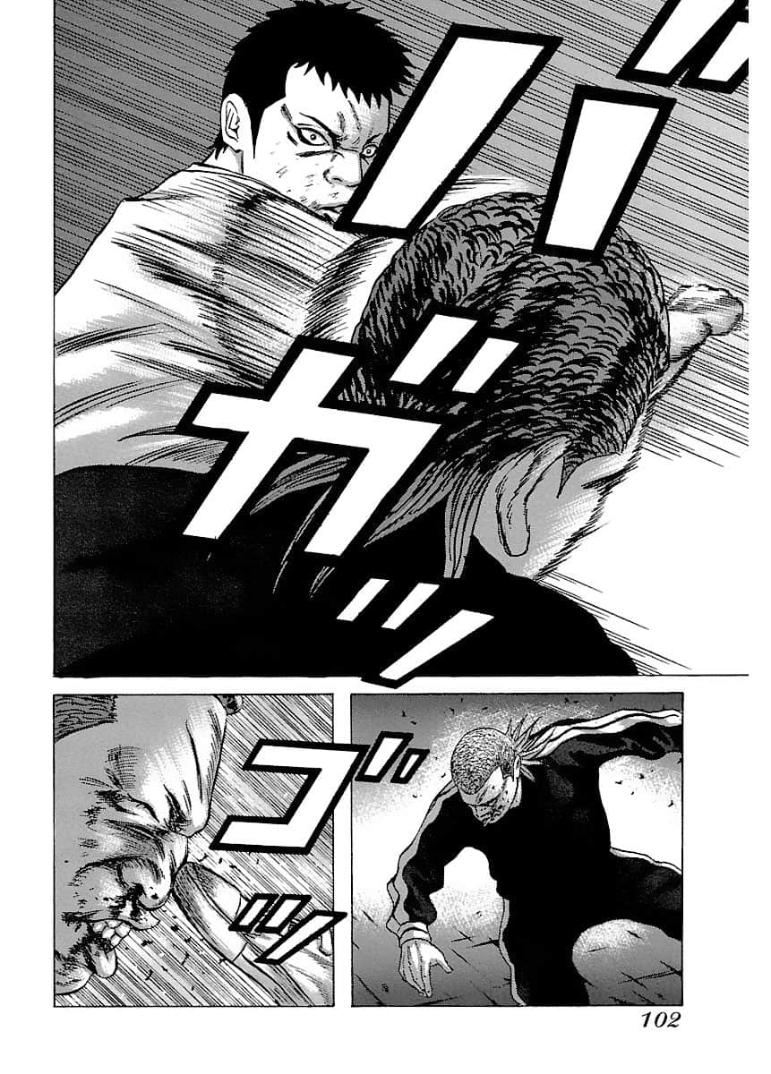 Page 102