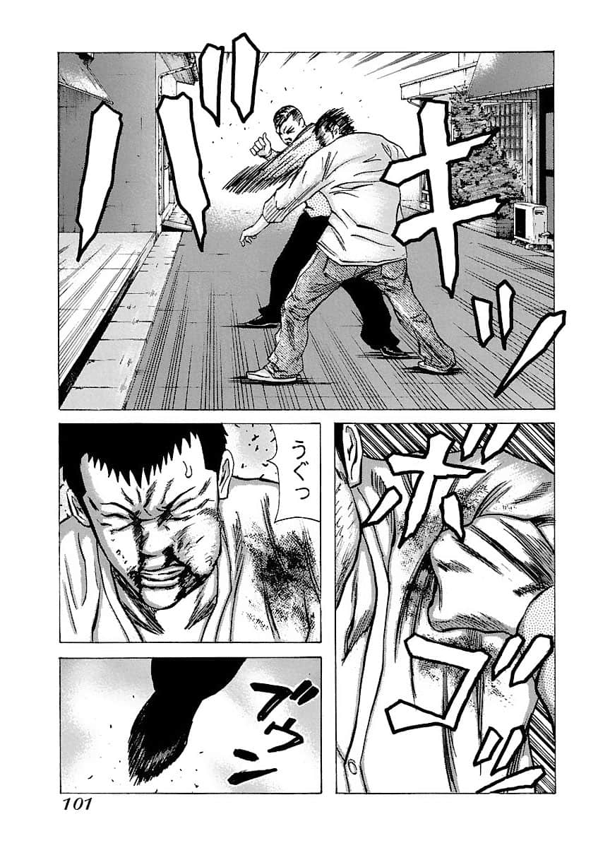 Page 101