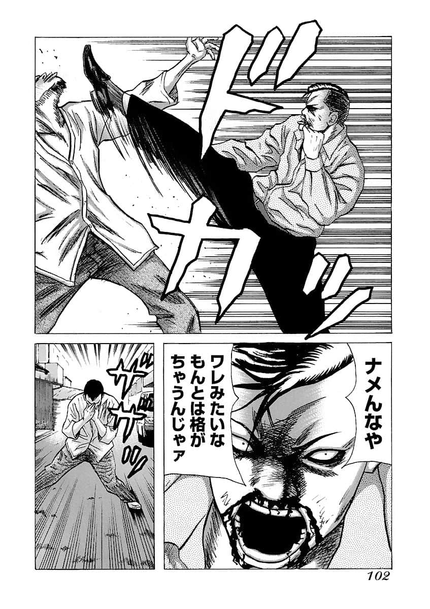 Page 102