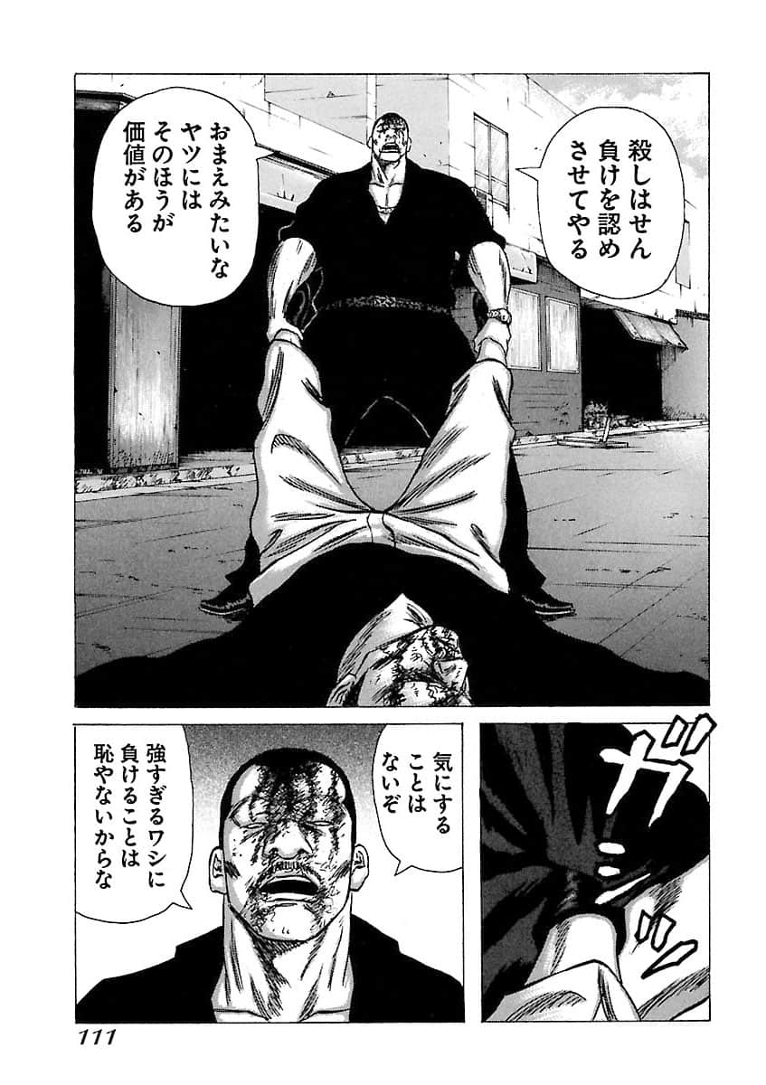 Page 111