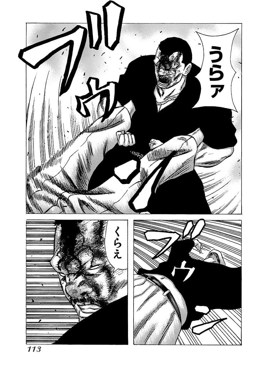 Page 113