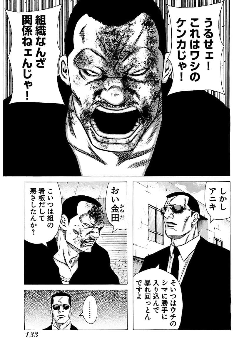 Page 133