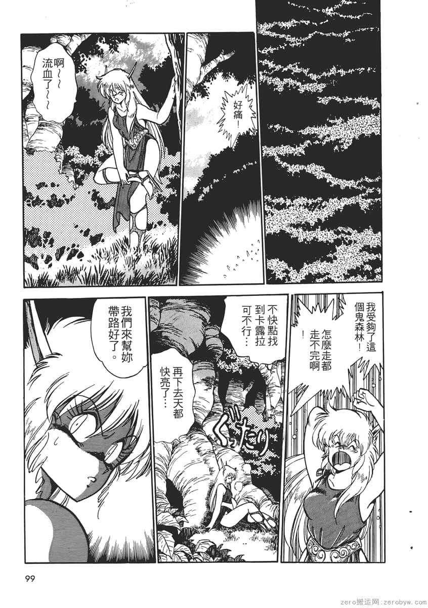 Page 101