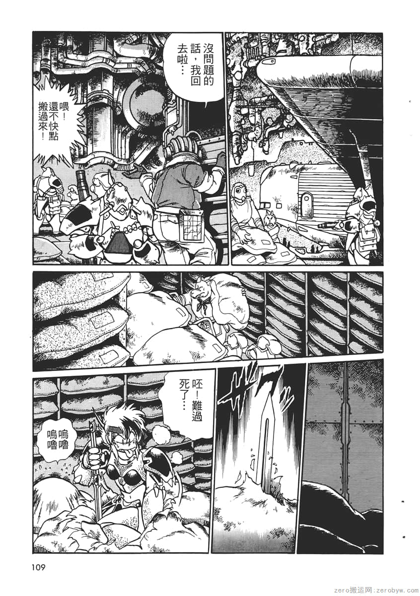 Page 111