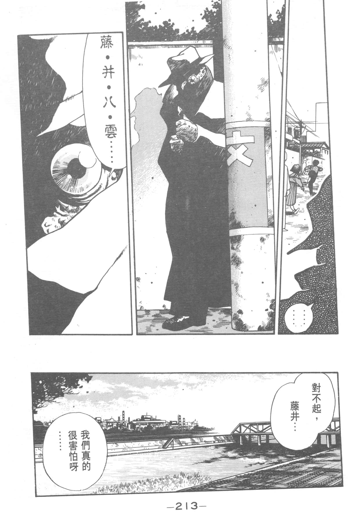 Page 213