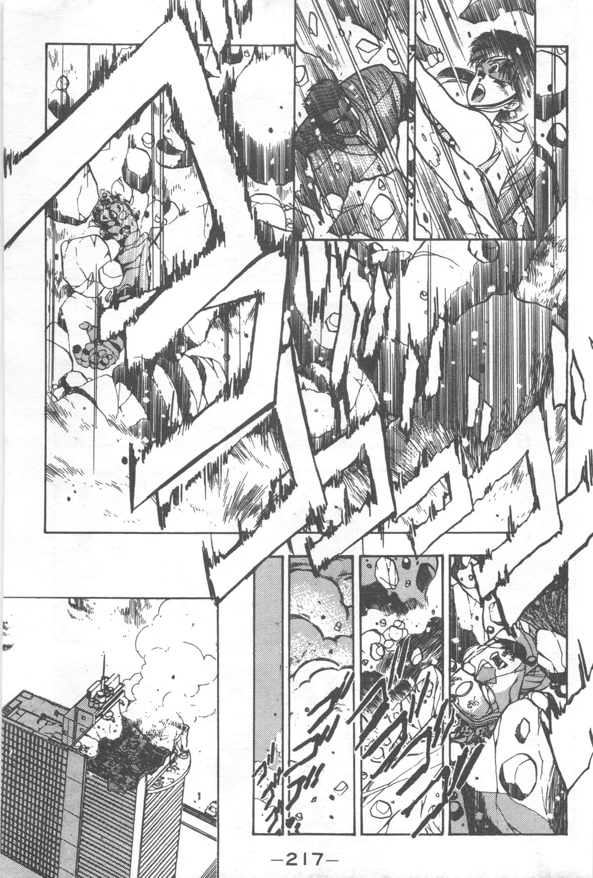 Page 217