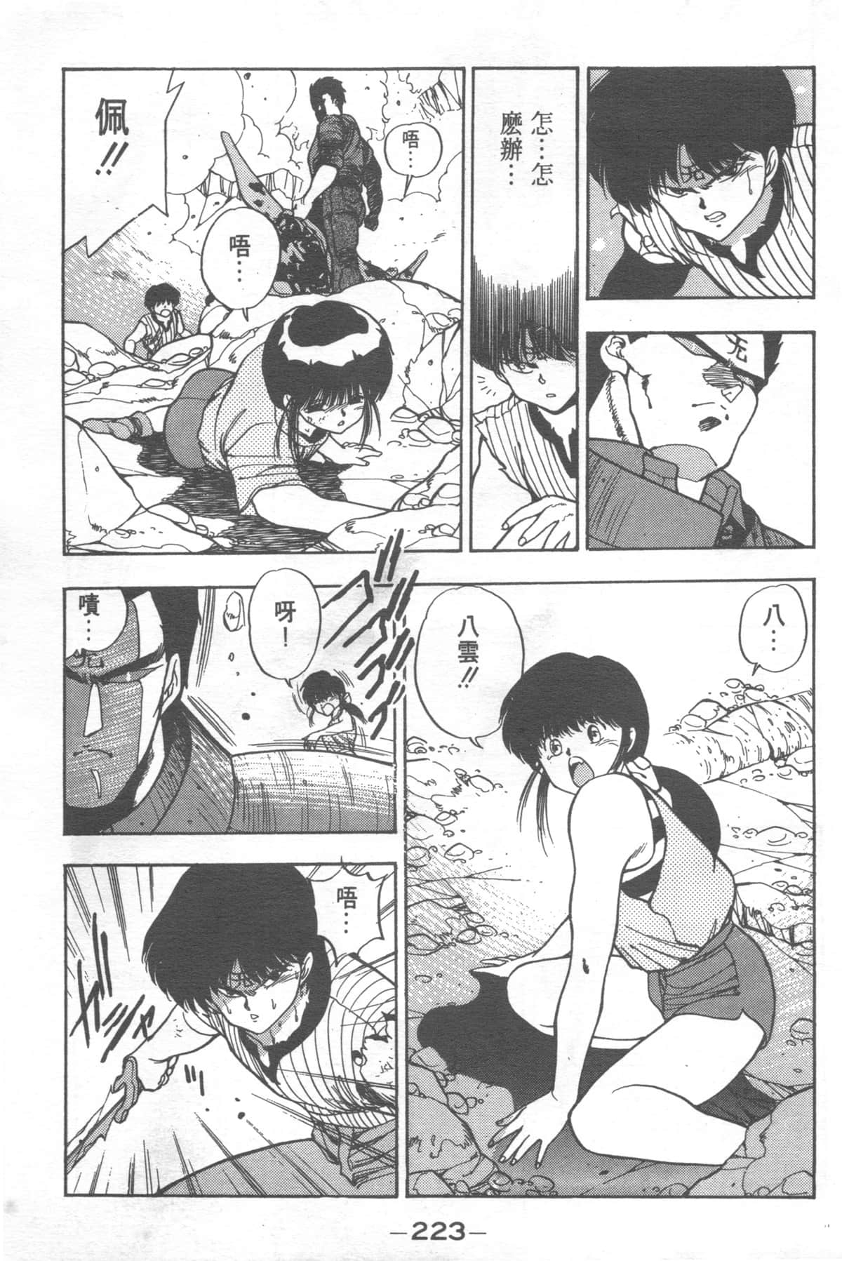 Page 223