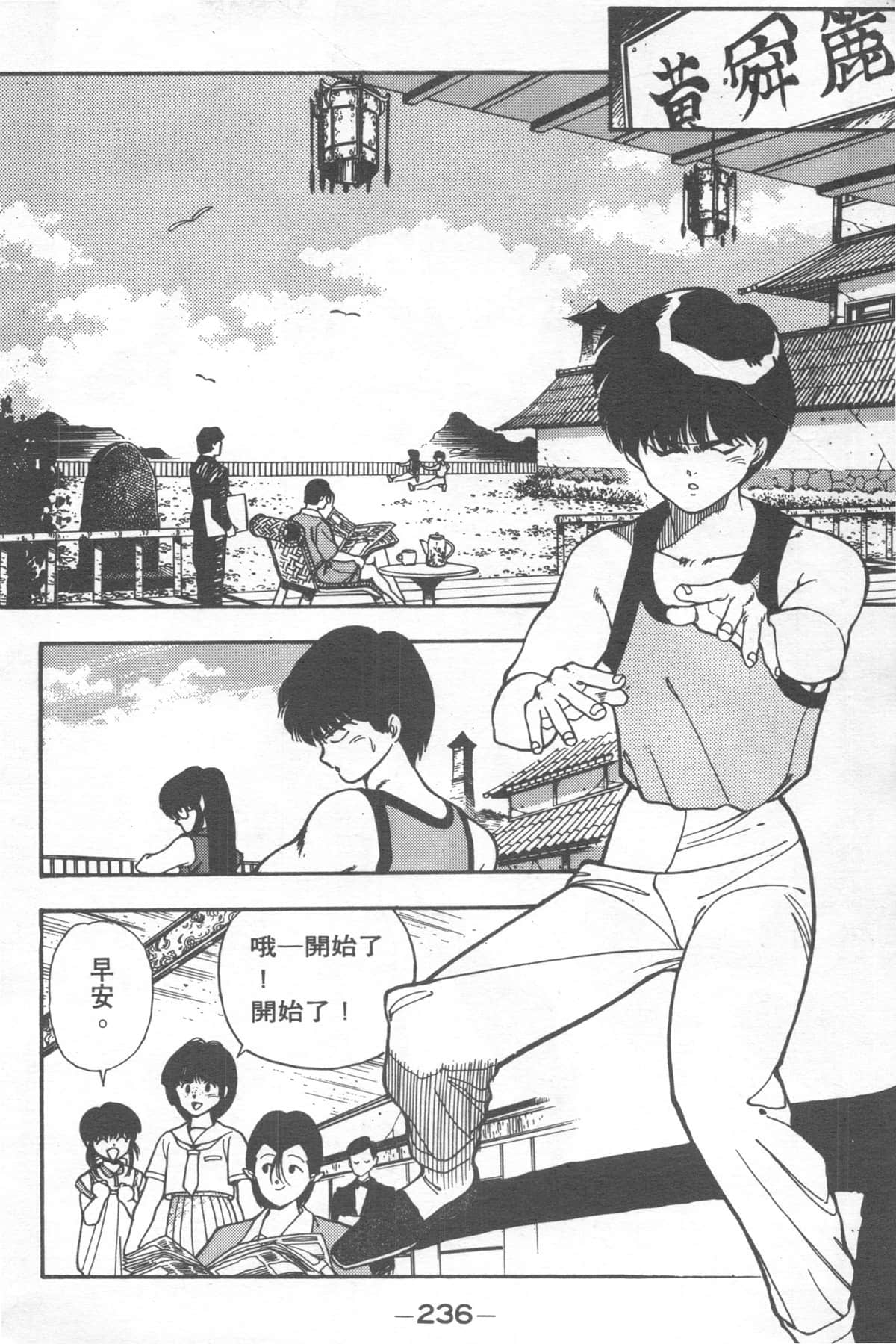 Page 236