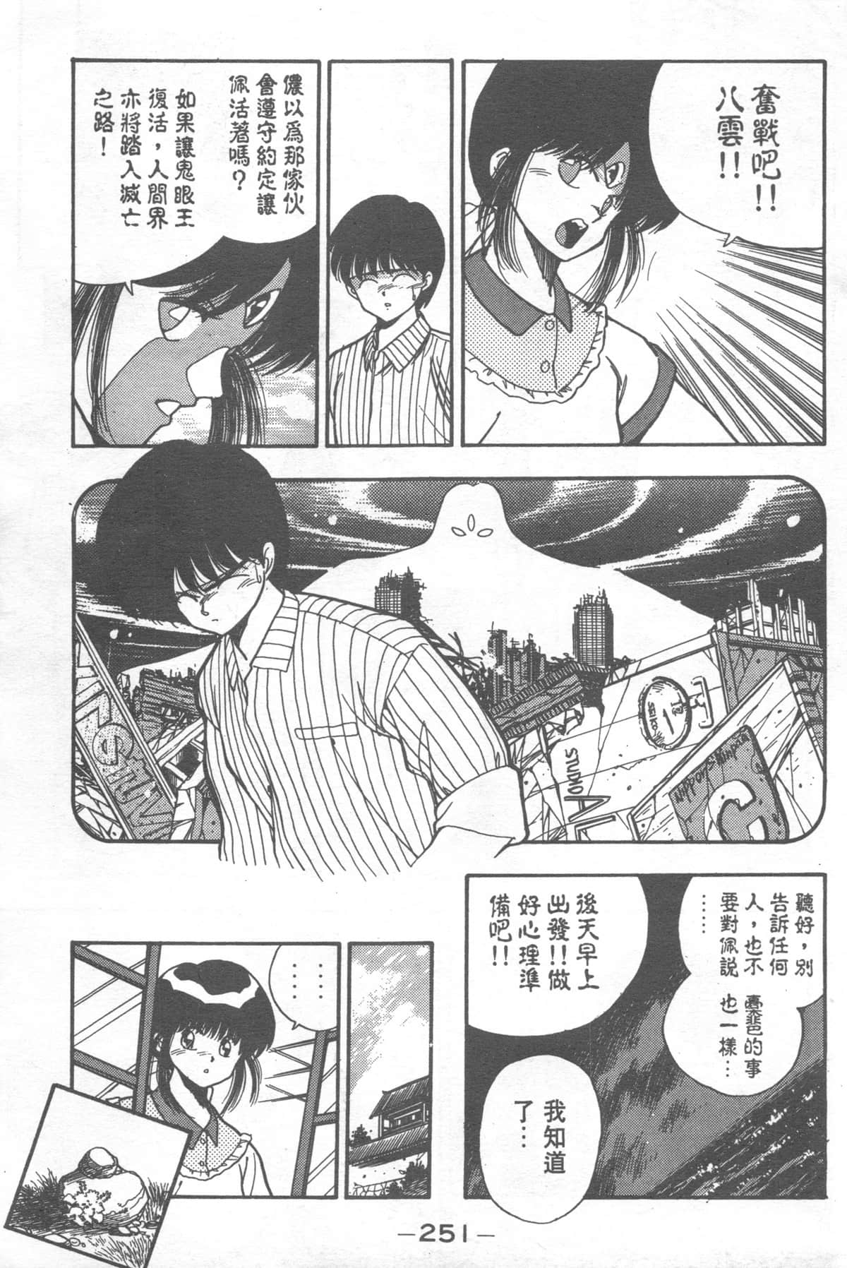 Page 251