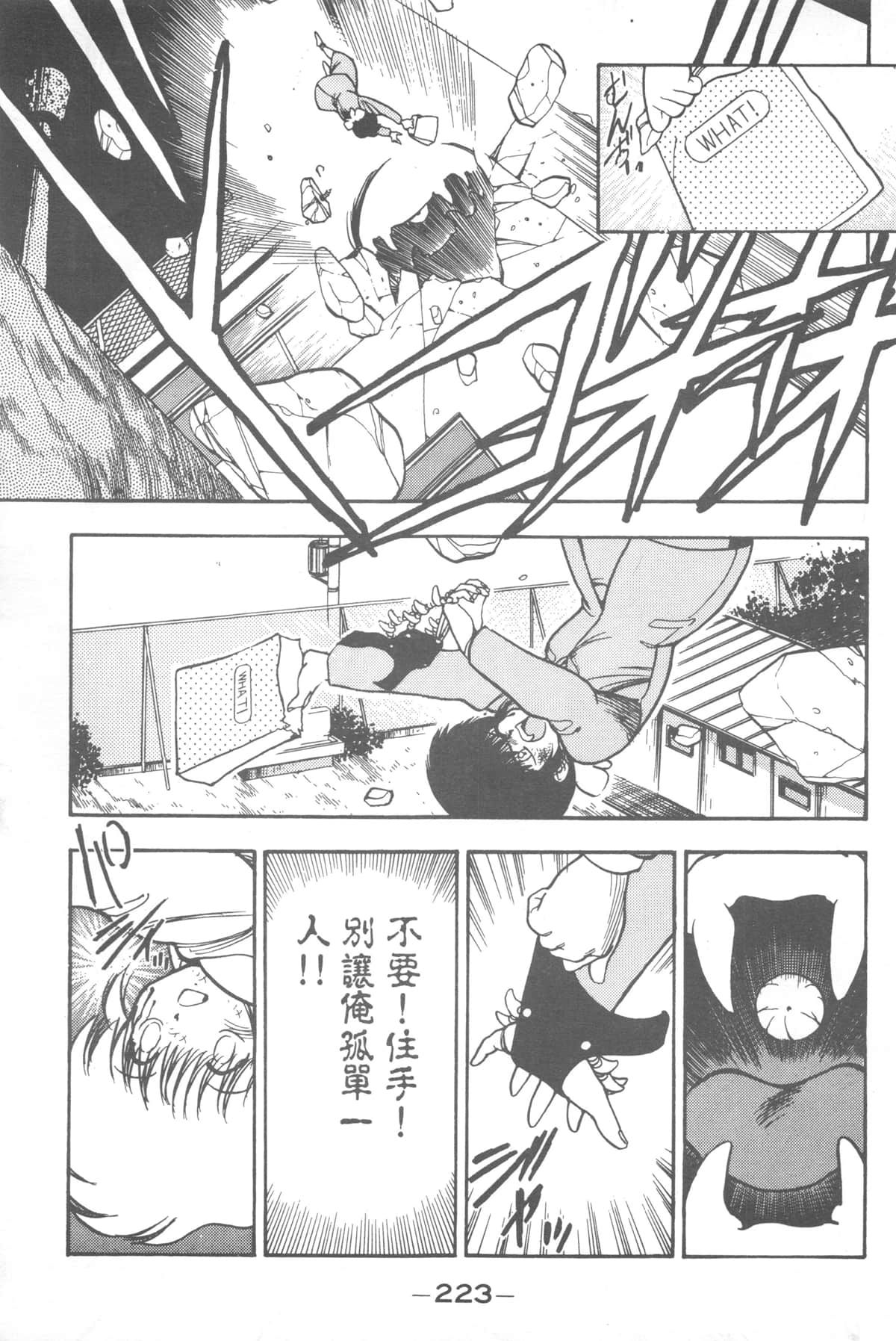 Page 221
