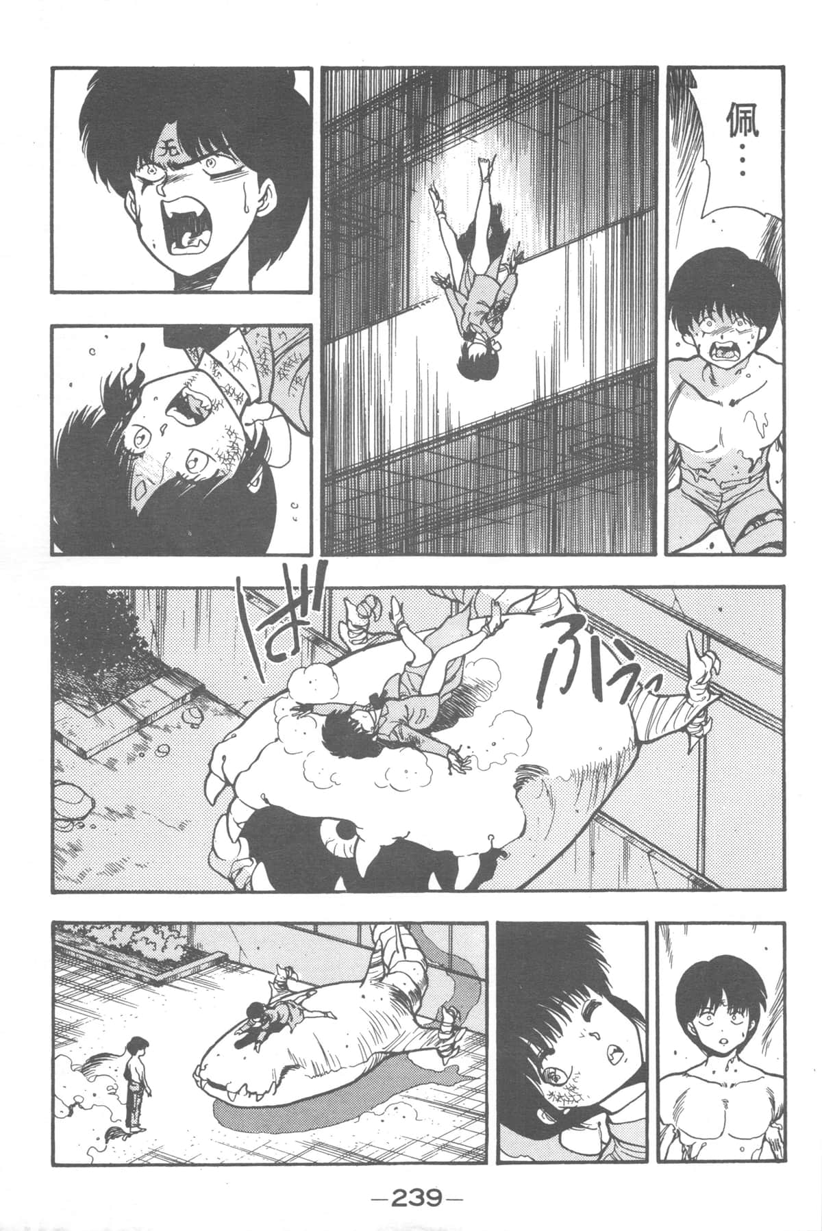 Page 237