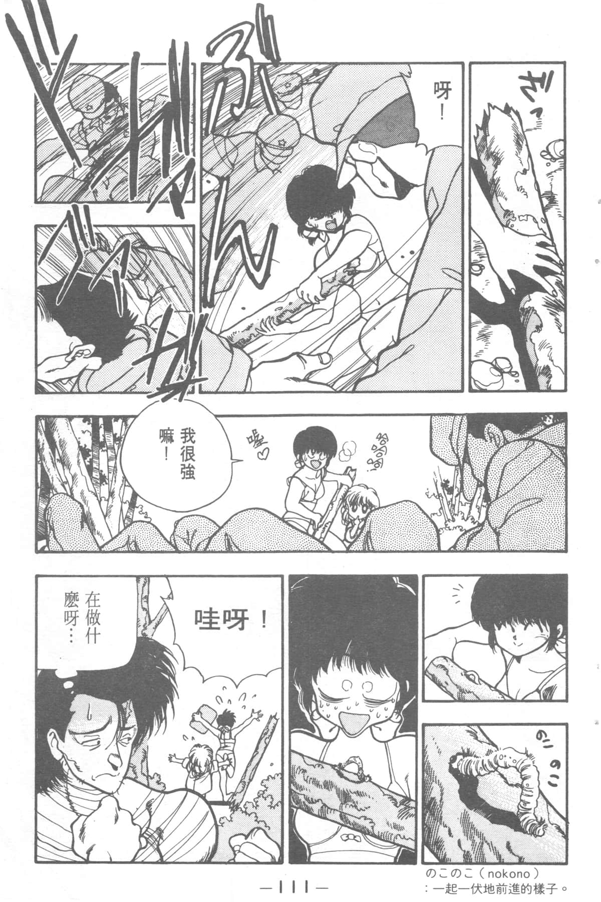 Page 111