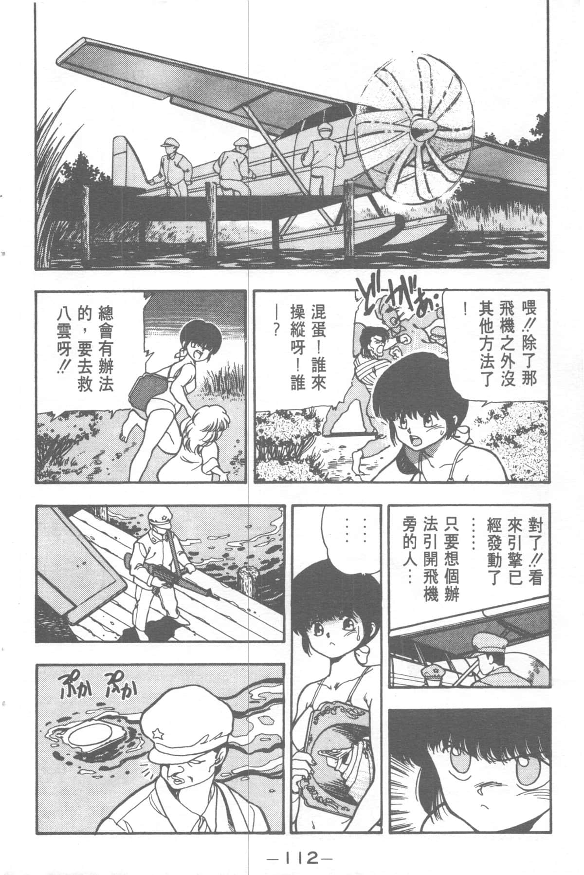 Page 112